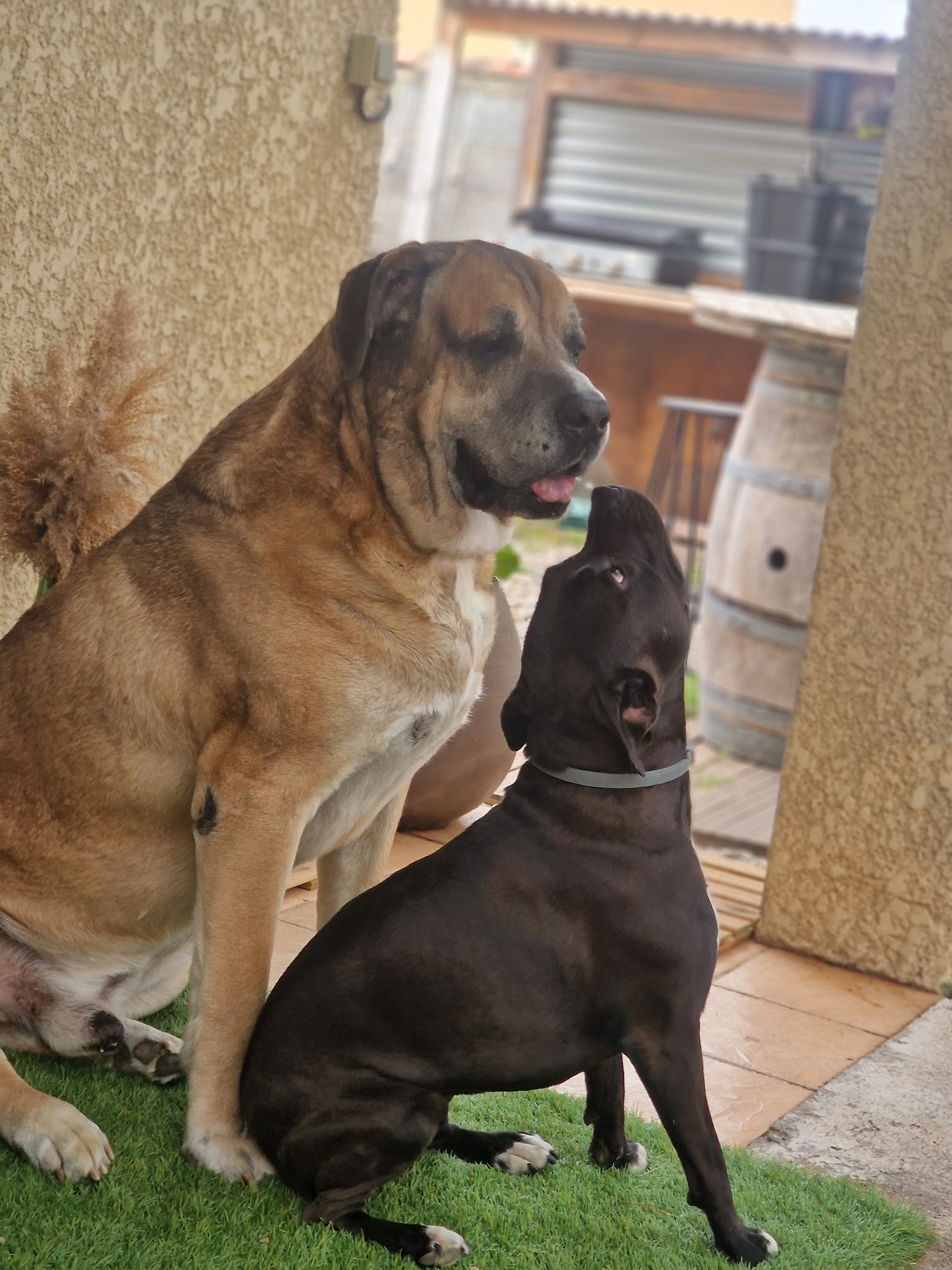 Julie et Compagnie 11 — photo