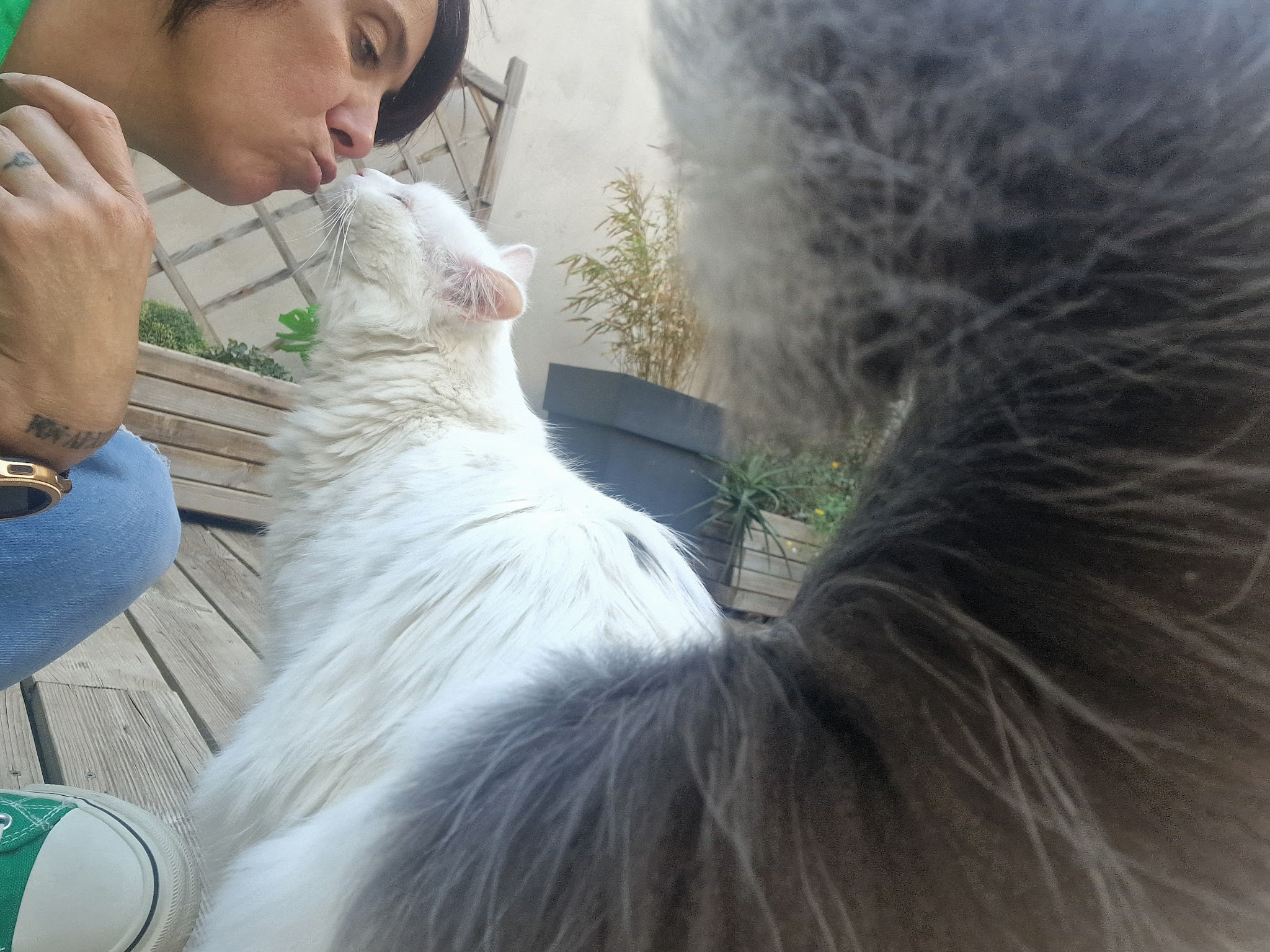 Julie et Compagnie 11