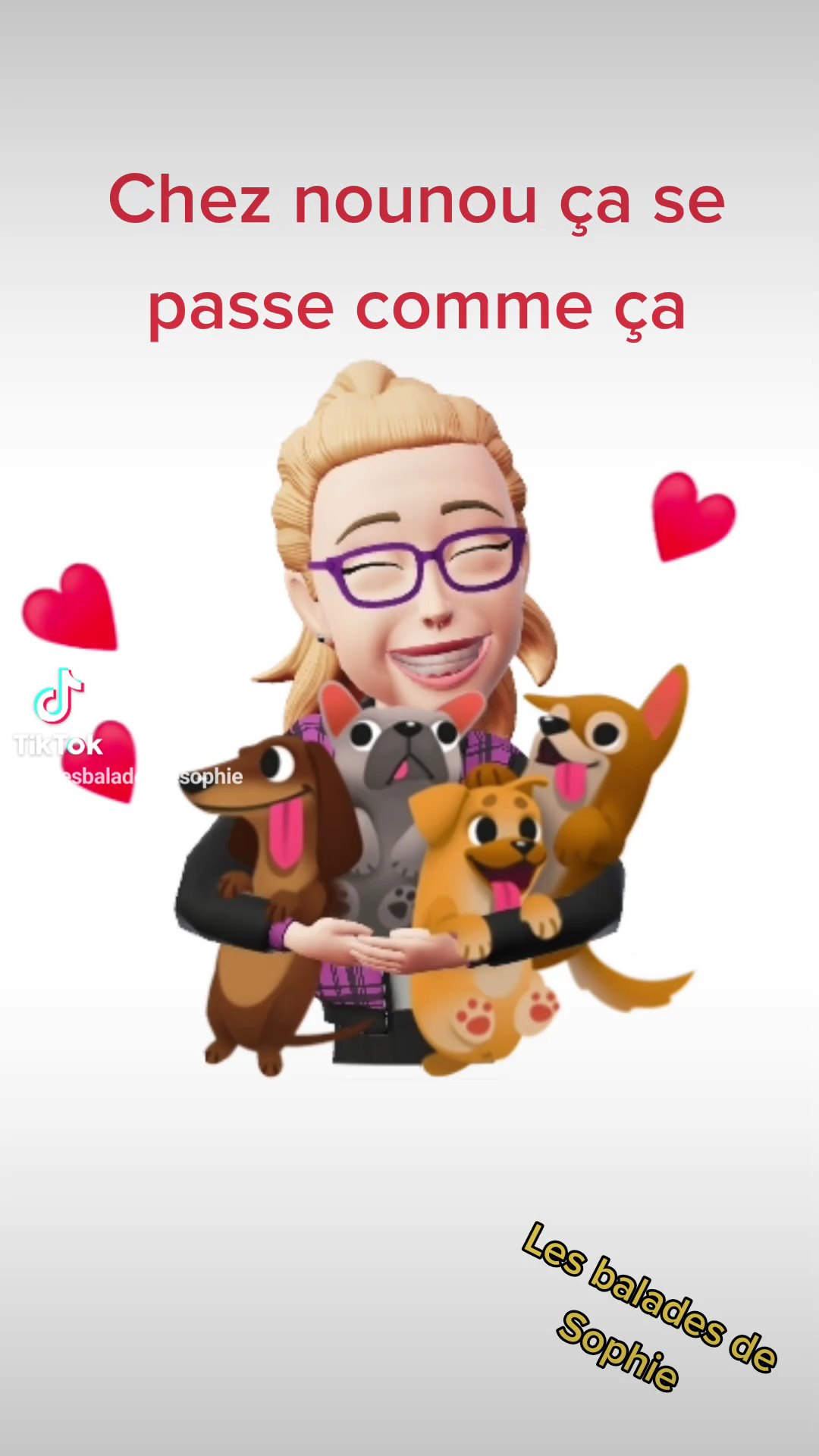 Les Balades de Sophie services pour animaux — photo