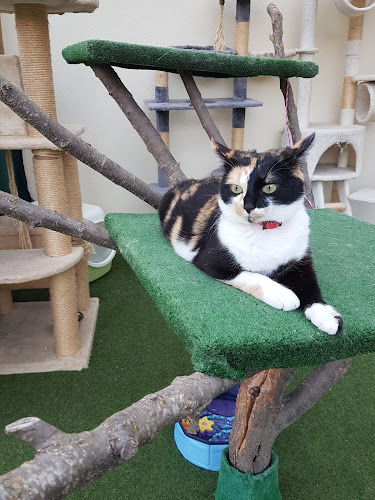 PENSION LES PACHAS-GARDE D'ANIMAUX