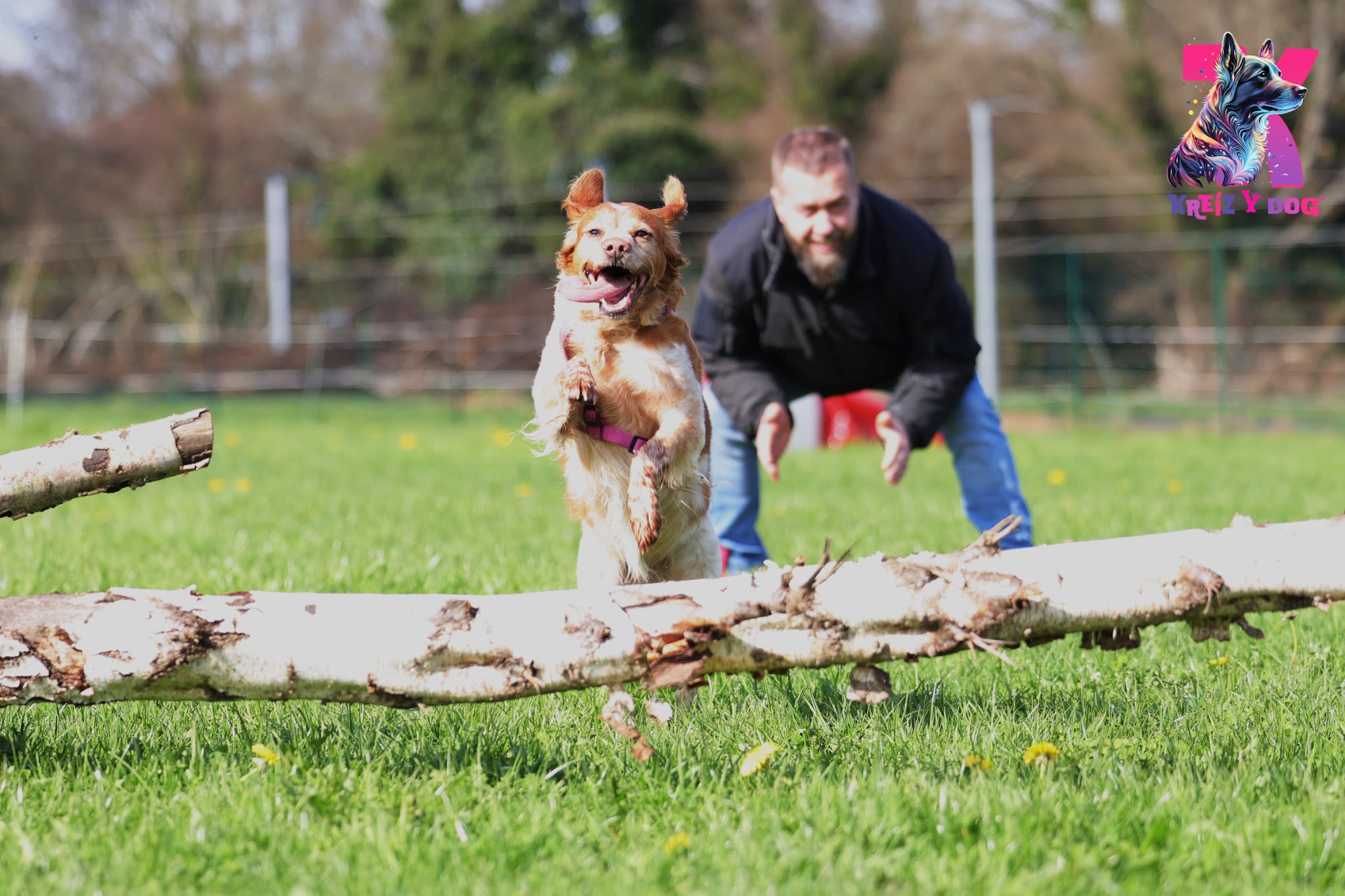 K9 Campus - Kreiz Y Dog — photo