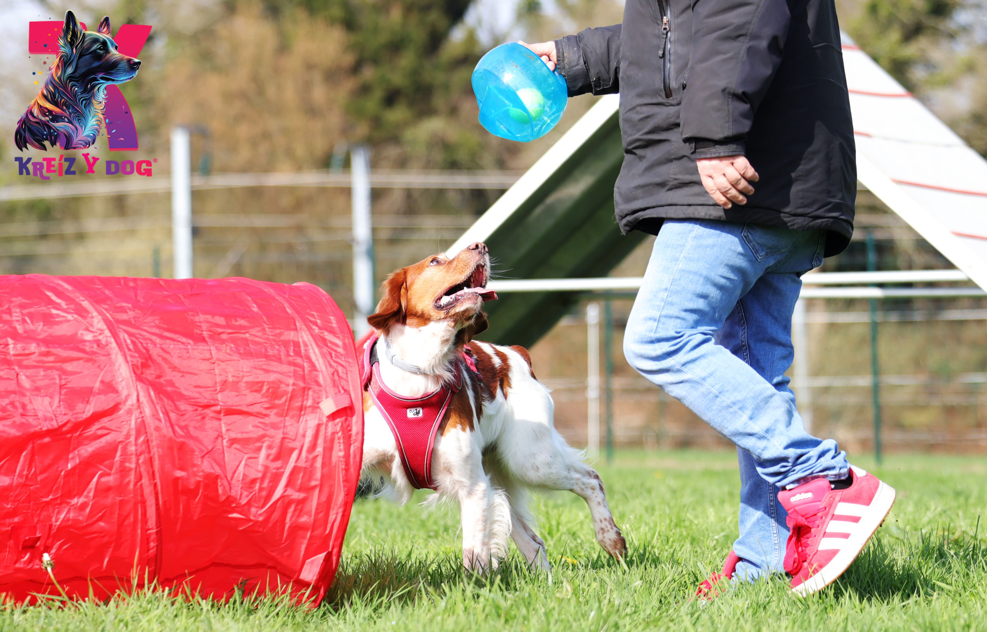 K9 Campus - Kreiz Y Dog — photo