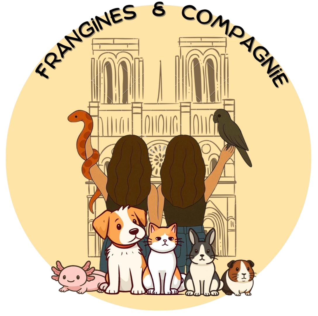 Frangines & Compagnie — photo