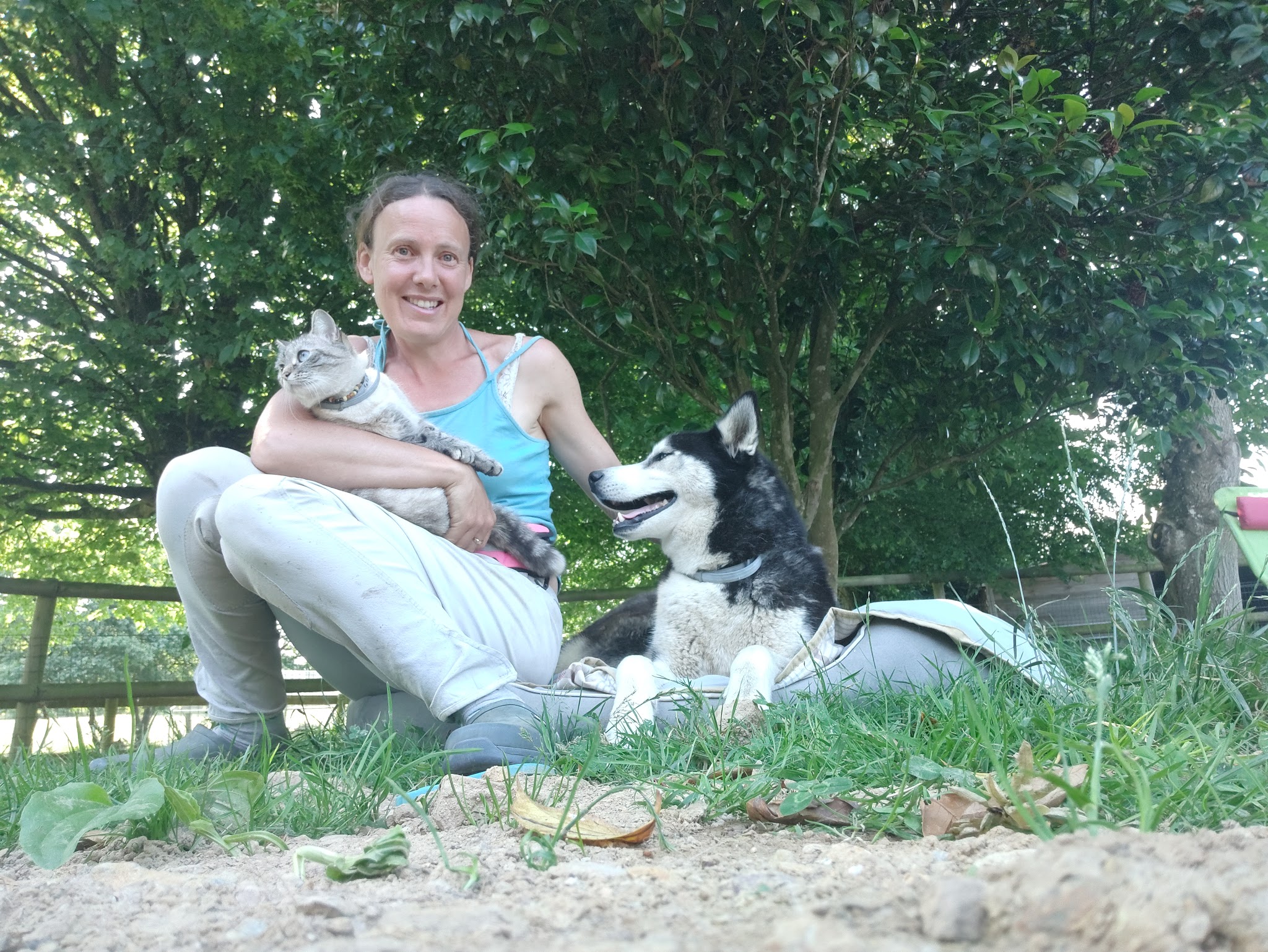 L'Arche de La Noé - Éducateur, comportementaliste canin 35 — photo