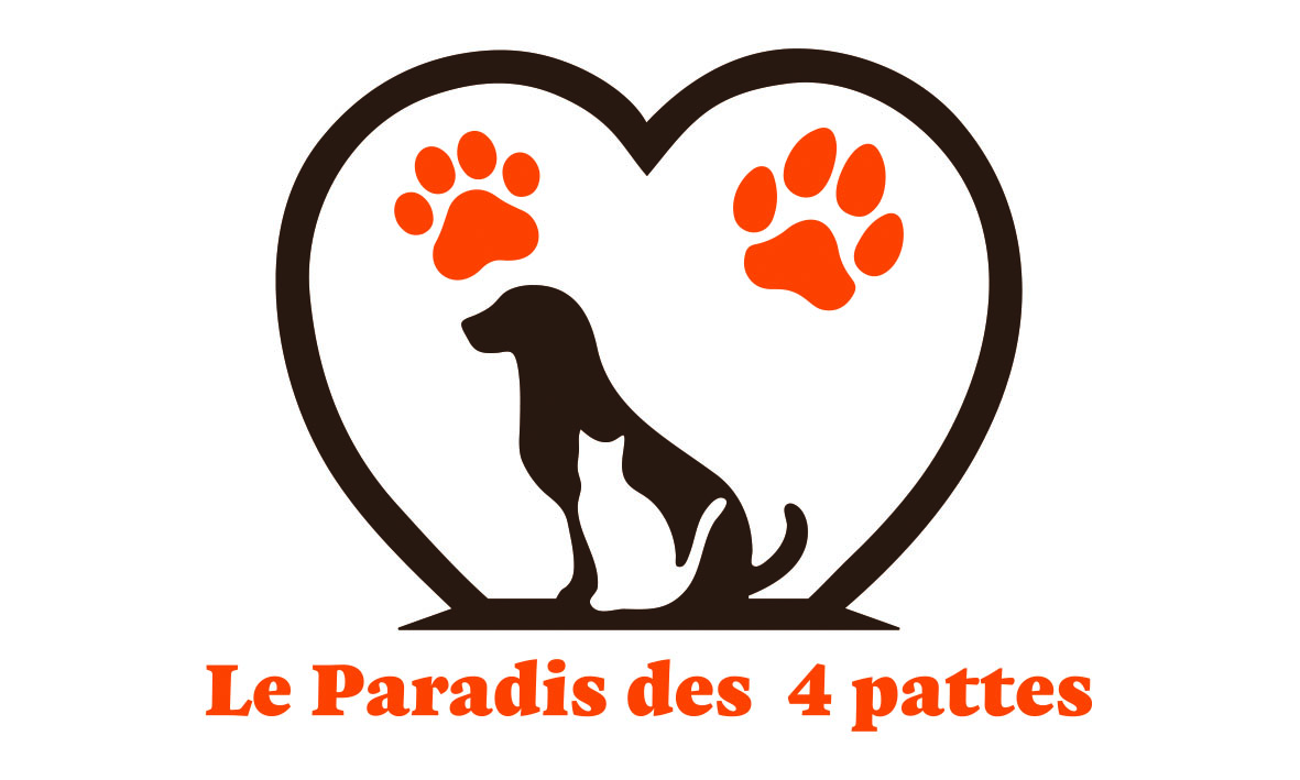 Pension Canine et Féline, le paradis des 4 pattes — photo