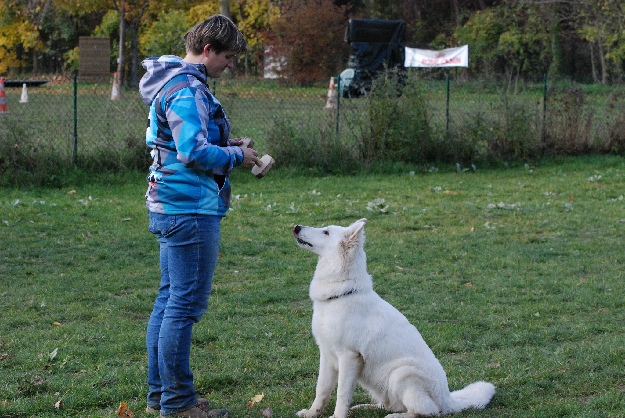 Myriam Chotin - 2 mains pour les chiens