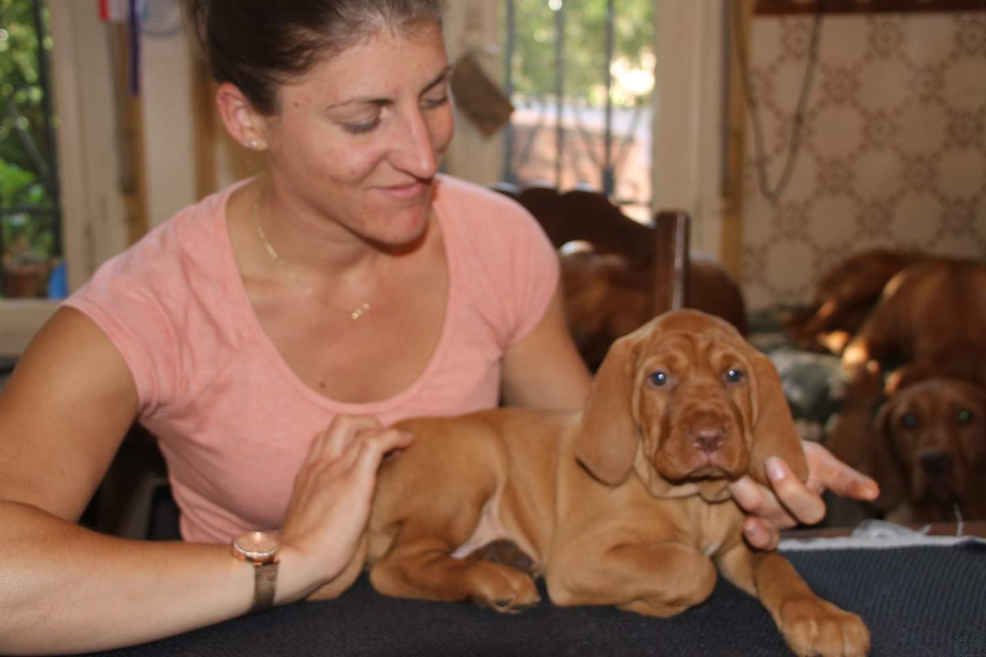 Céline Lepetit, masseuse équin-canin, praticienne en bioresonance(oise- val d'oise - Normandie) — photo