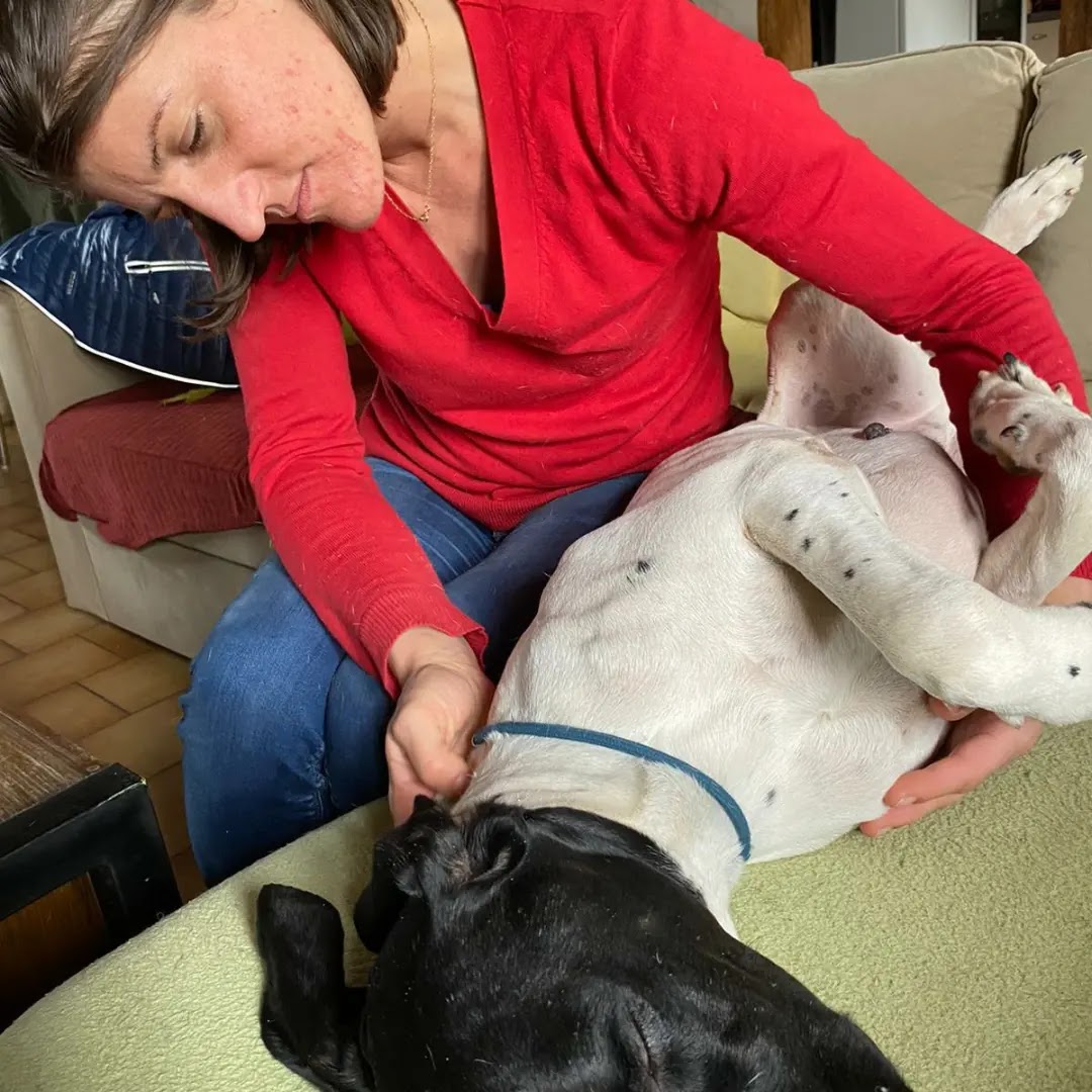 Céline Lepetit, masseuse équin-canin, praticienne en bioresonance(oise- val d'oise - Normandie) — photo