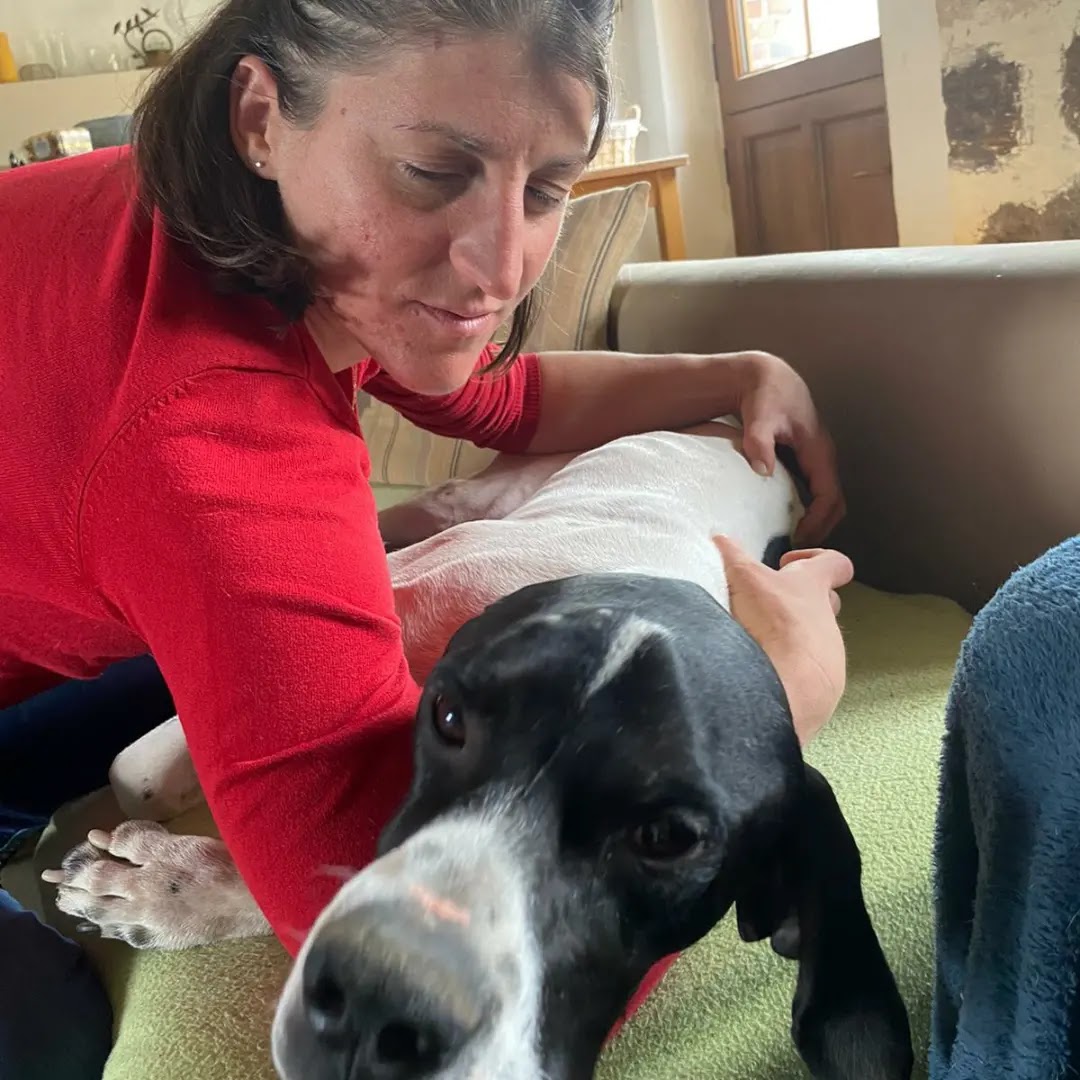 Céline Lepetit, masseuse équin-canin, praticienne en bioresonance(oise- val d'oise - Normandie) — photo