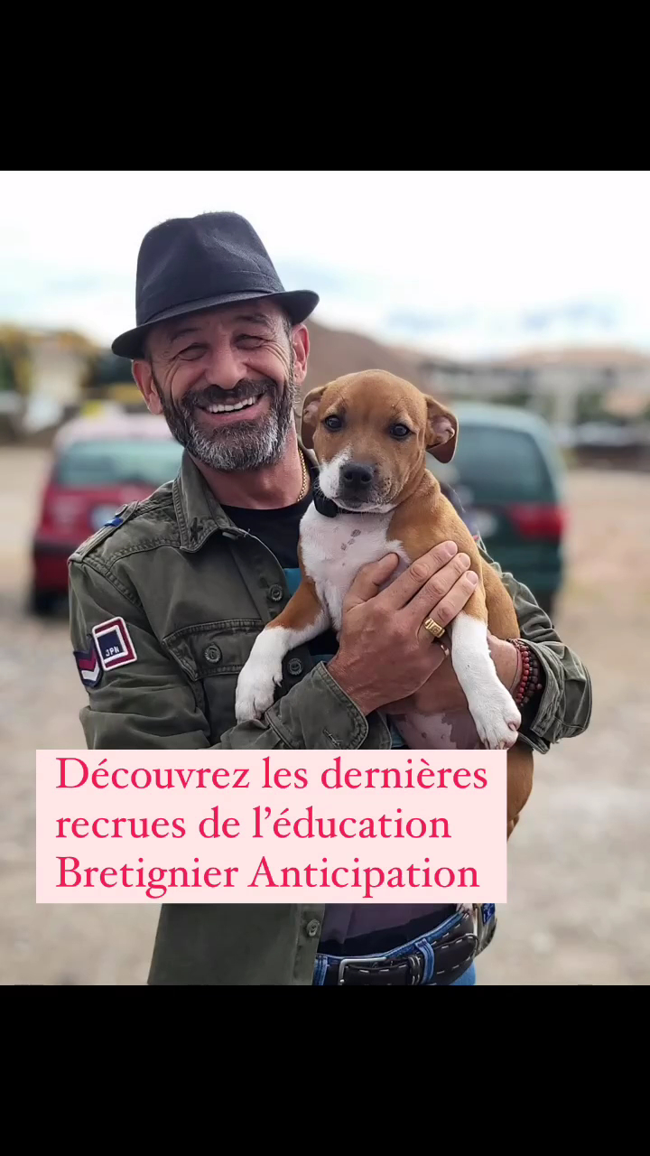 Bretignier Anticipation Canine — photo