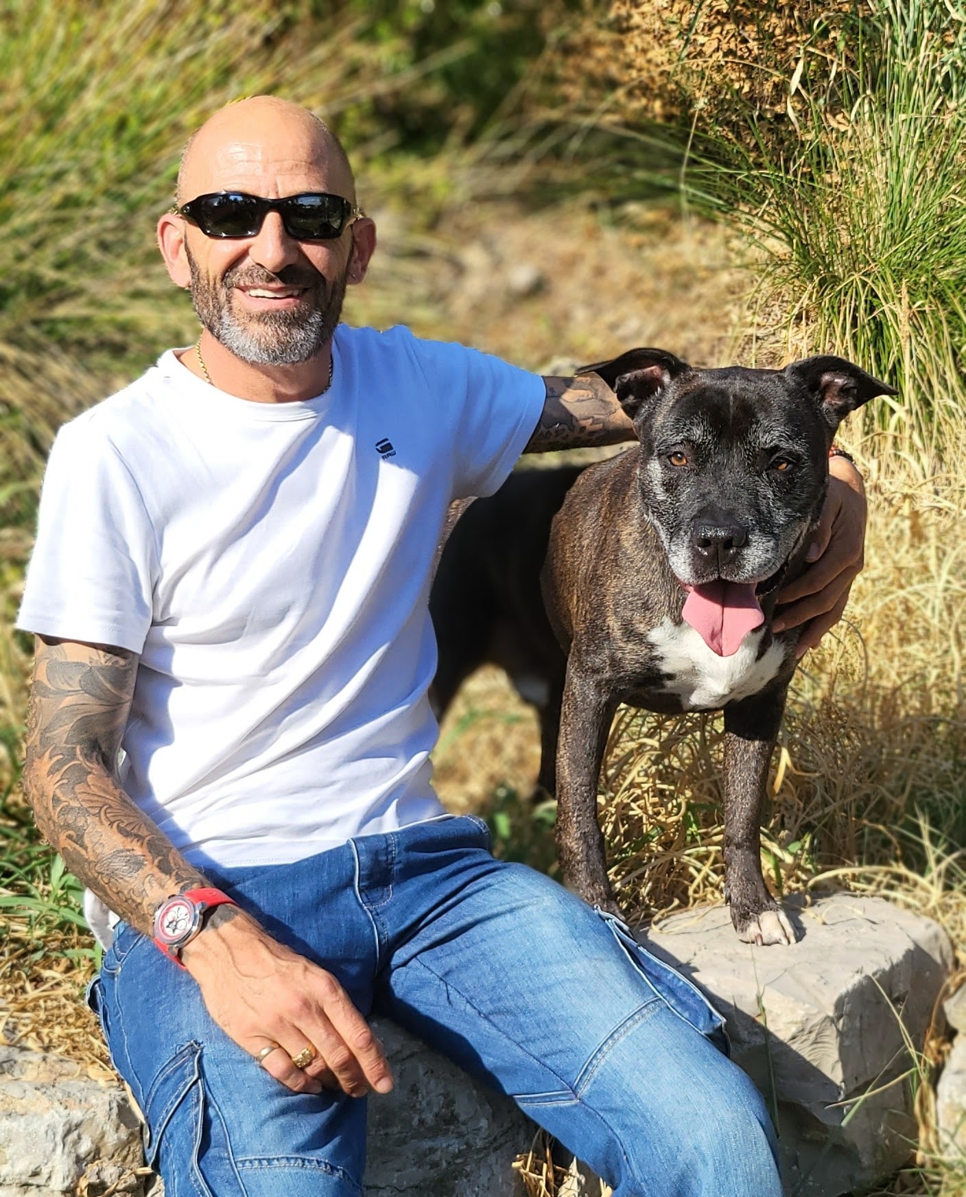 Bretignier Anticipation Canine — photo