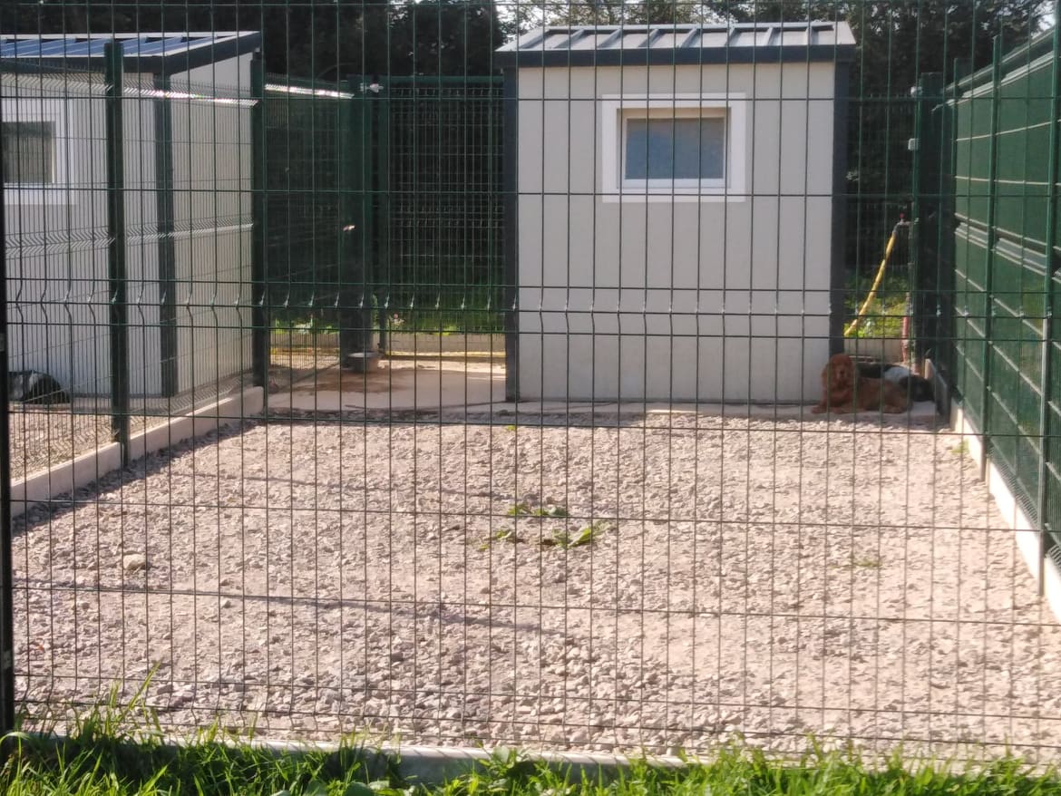Élevage dressage et pension des Hauts Buissons — photo