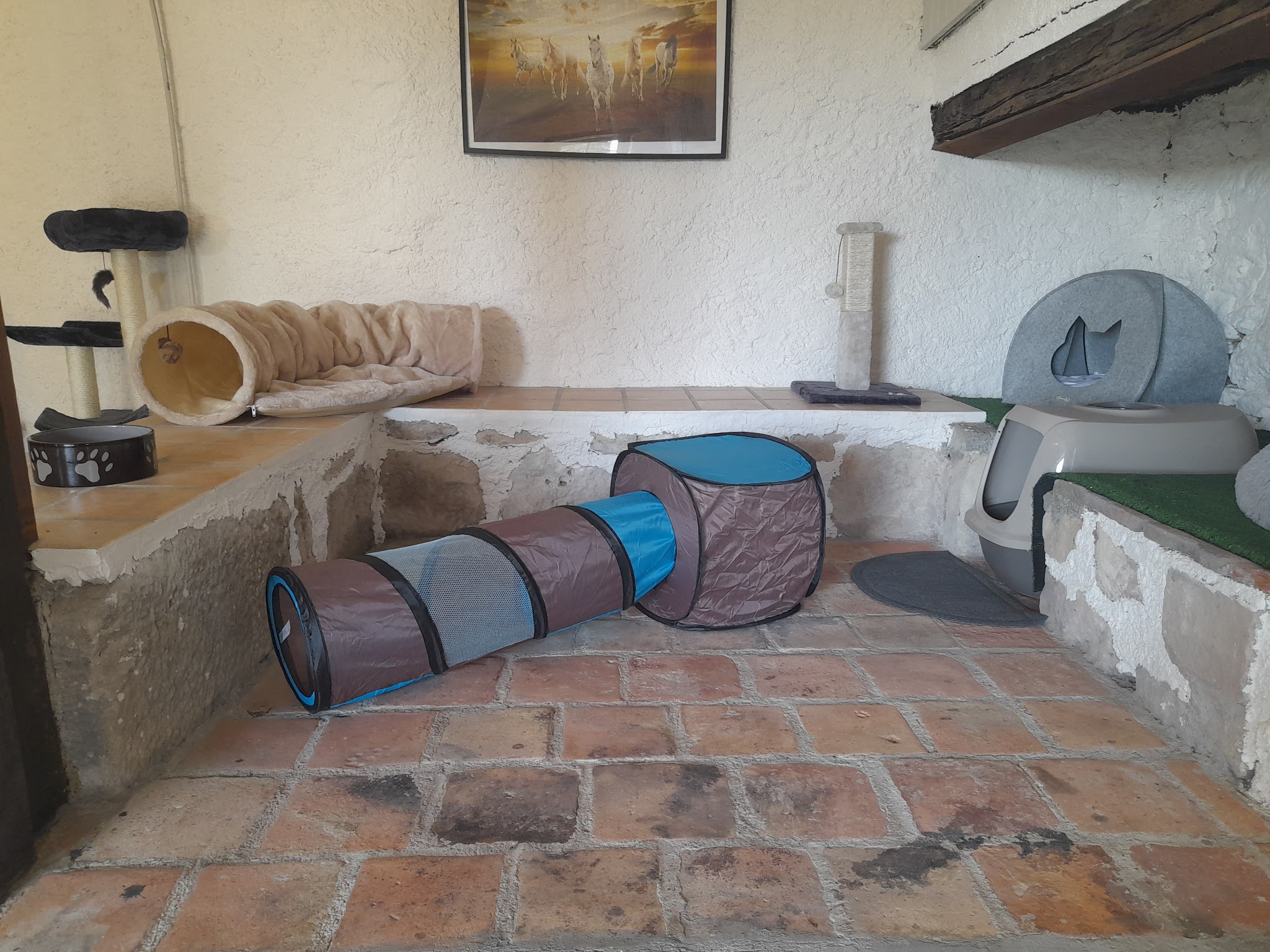 Pension Féline Louna — photo