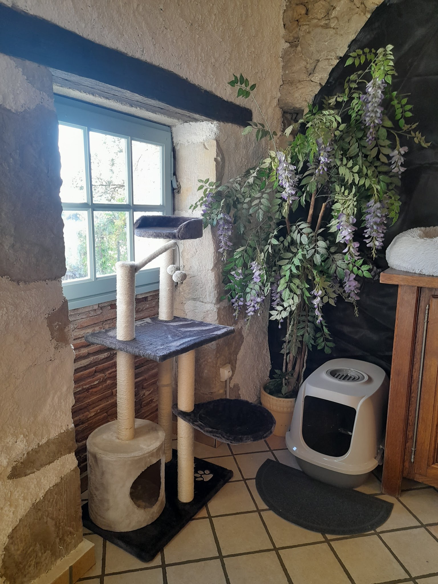Pension Féline Louna — photo