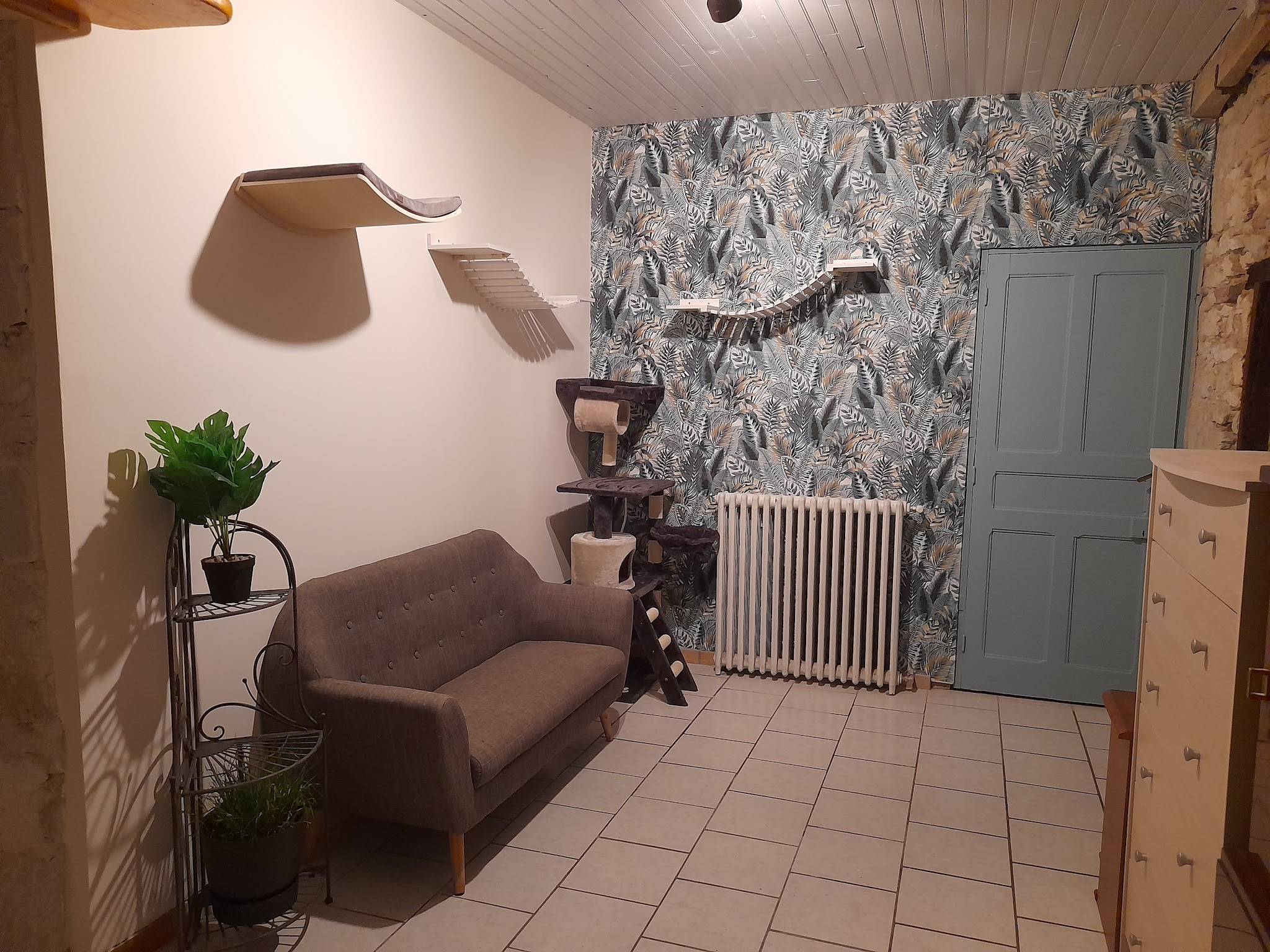 Pension Féline Louna — photo