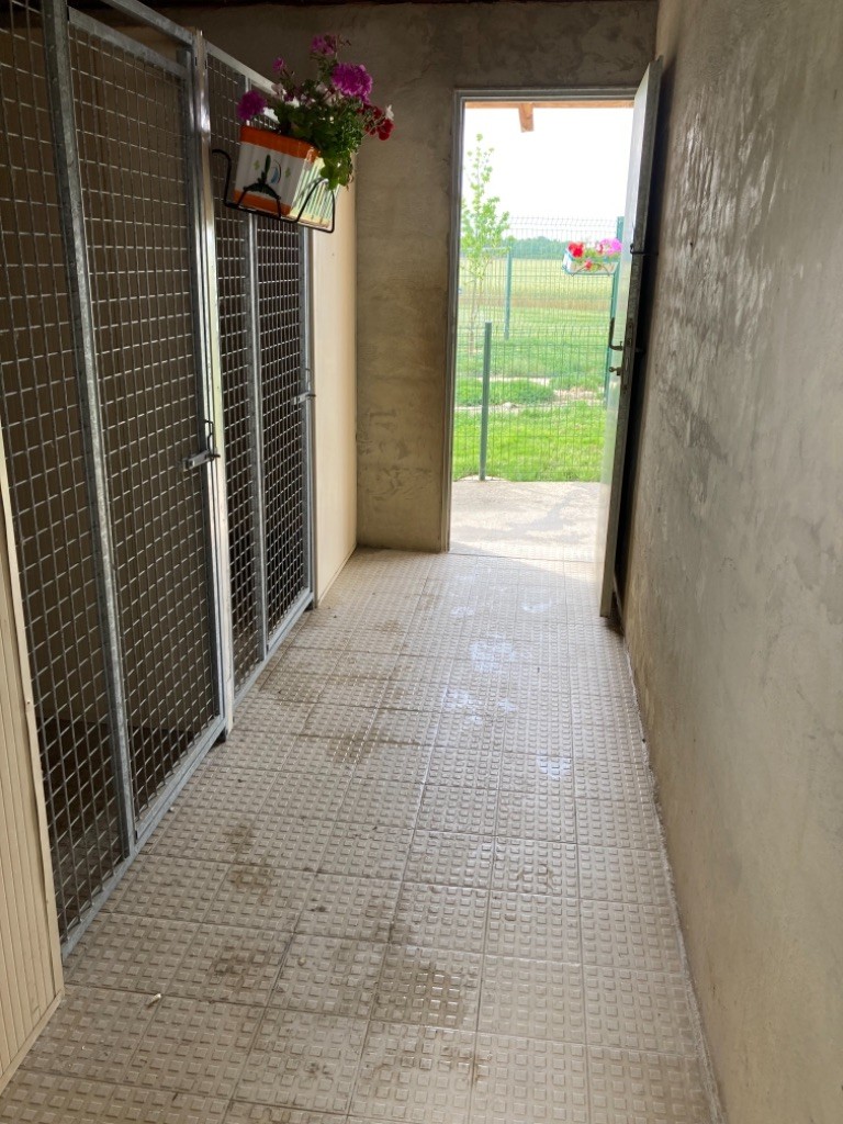 Centre Canin de La Bordette Aucamville — photo