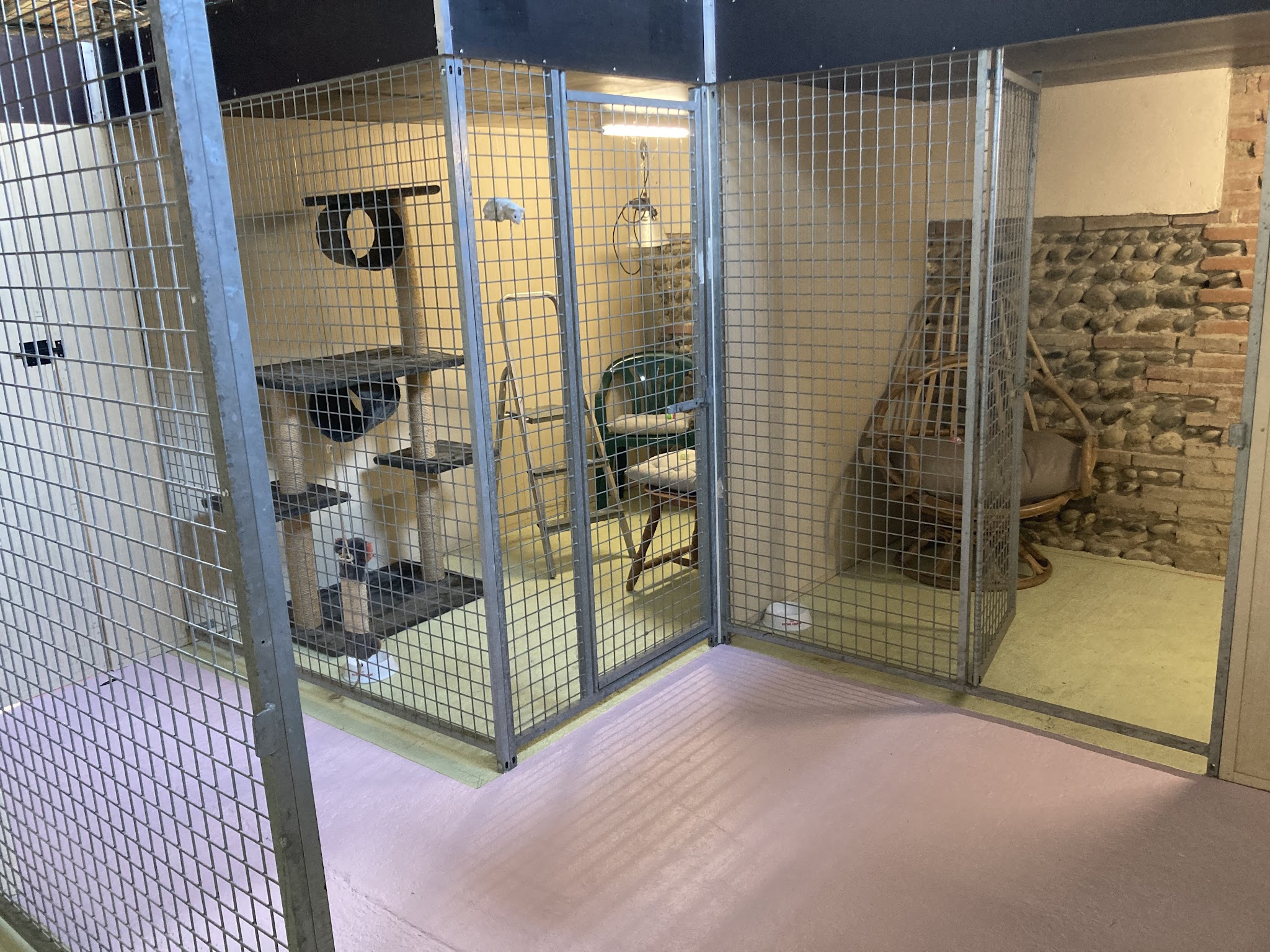 Centre Canin de La Bordette Aucamville — photo