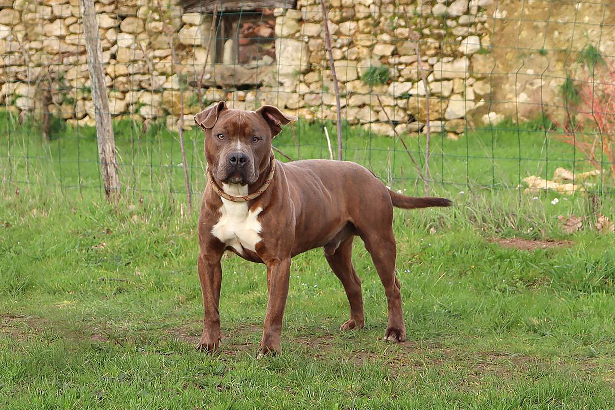 Domaine du Sautadet — photo