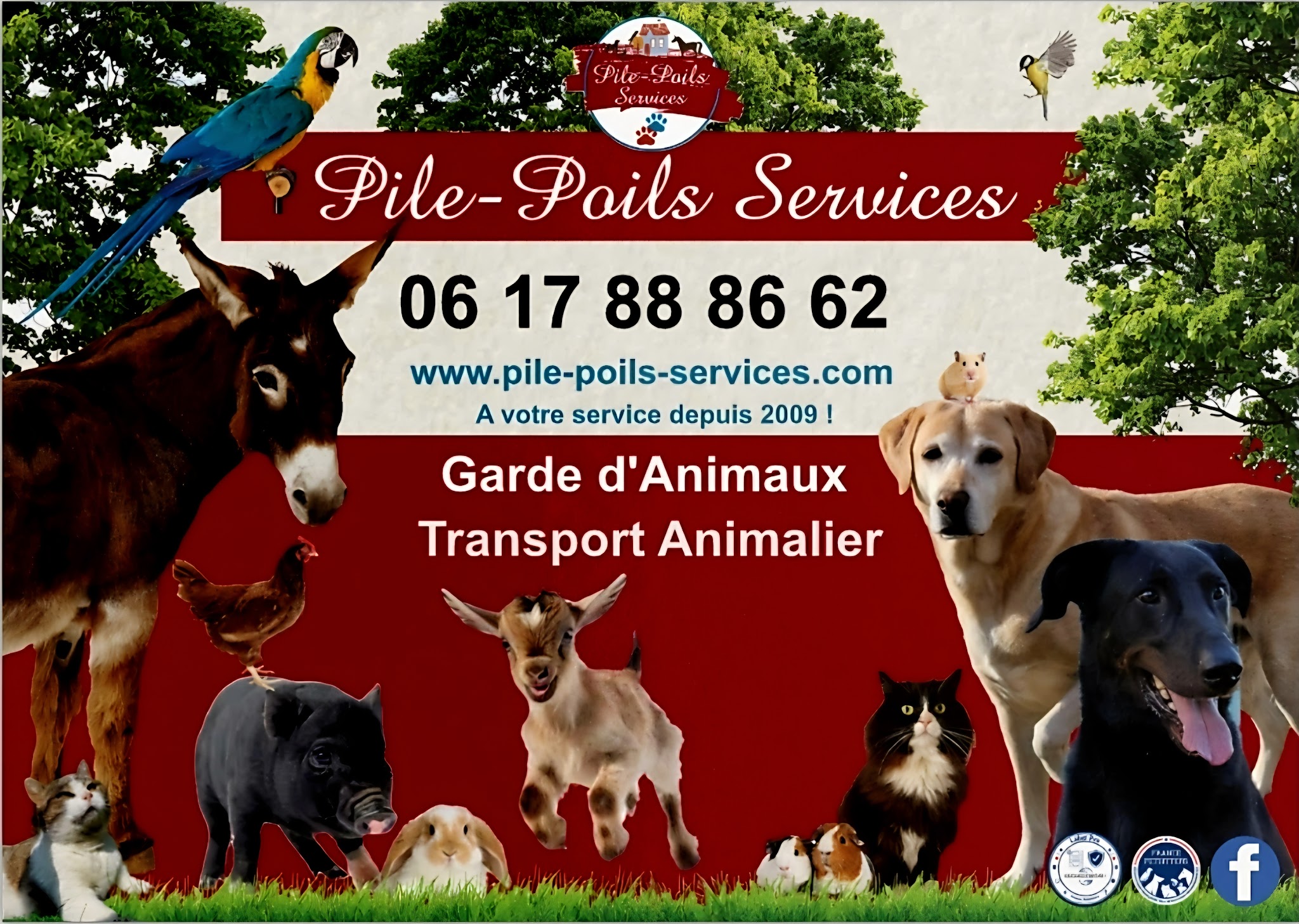 Pile-Poils-Services