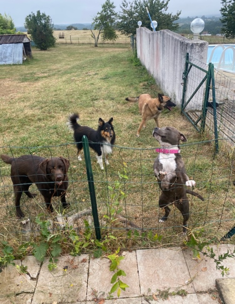 Les amis d’Olly et Philia — photo