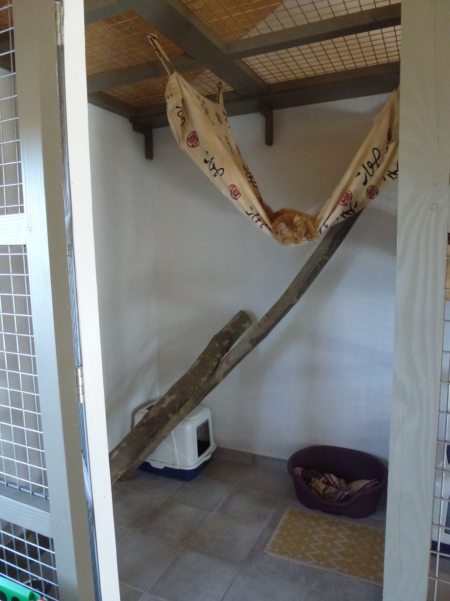 KENNEL GARDE — photo