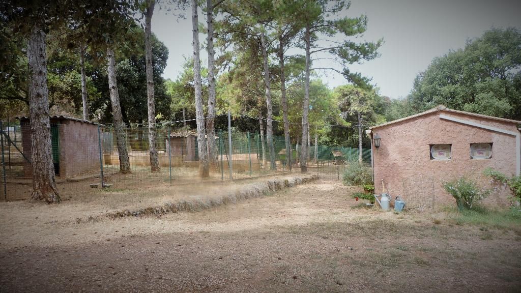 Pension De La Rosée Du Soleil — photo
