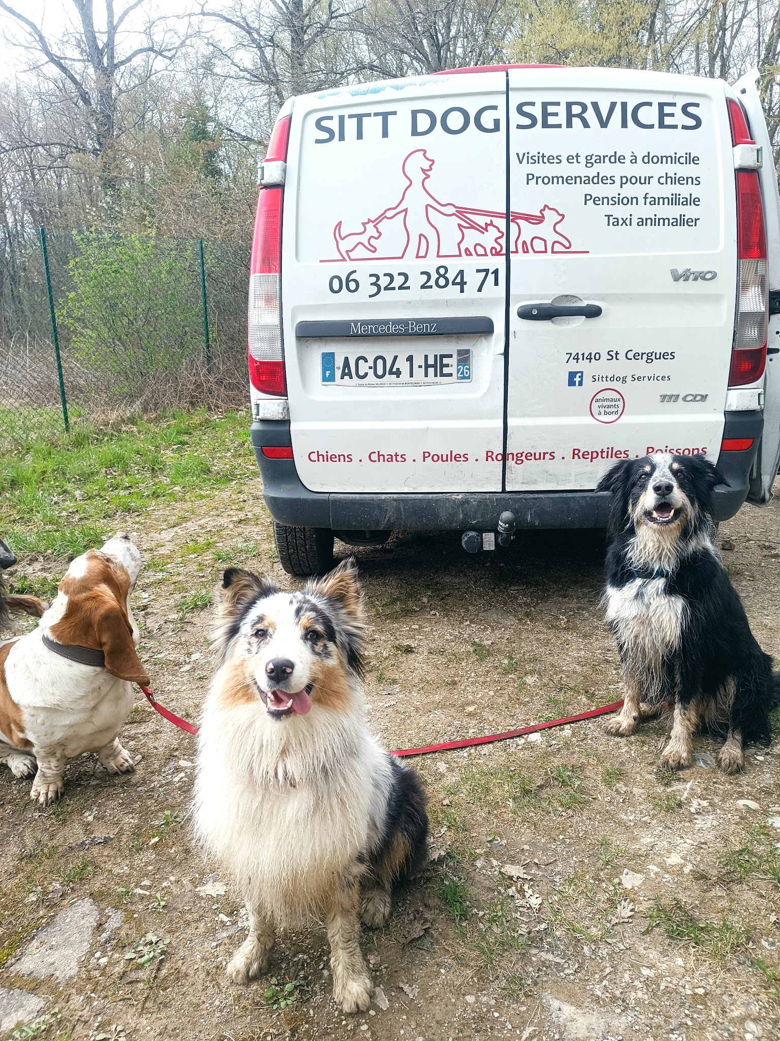 Sittdog Services — photo