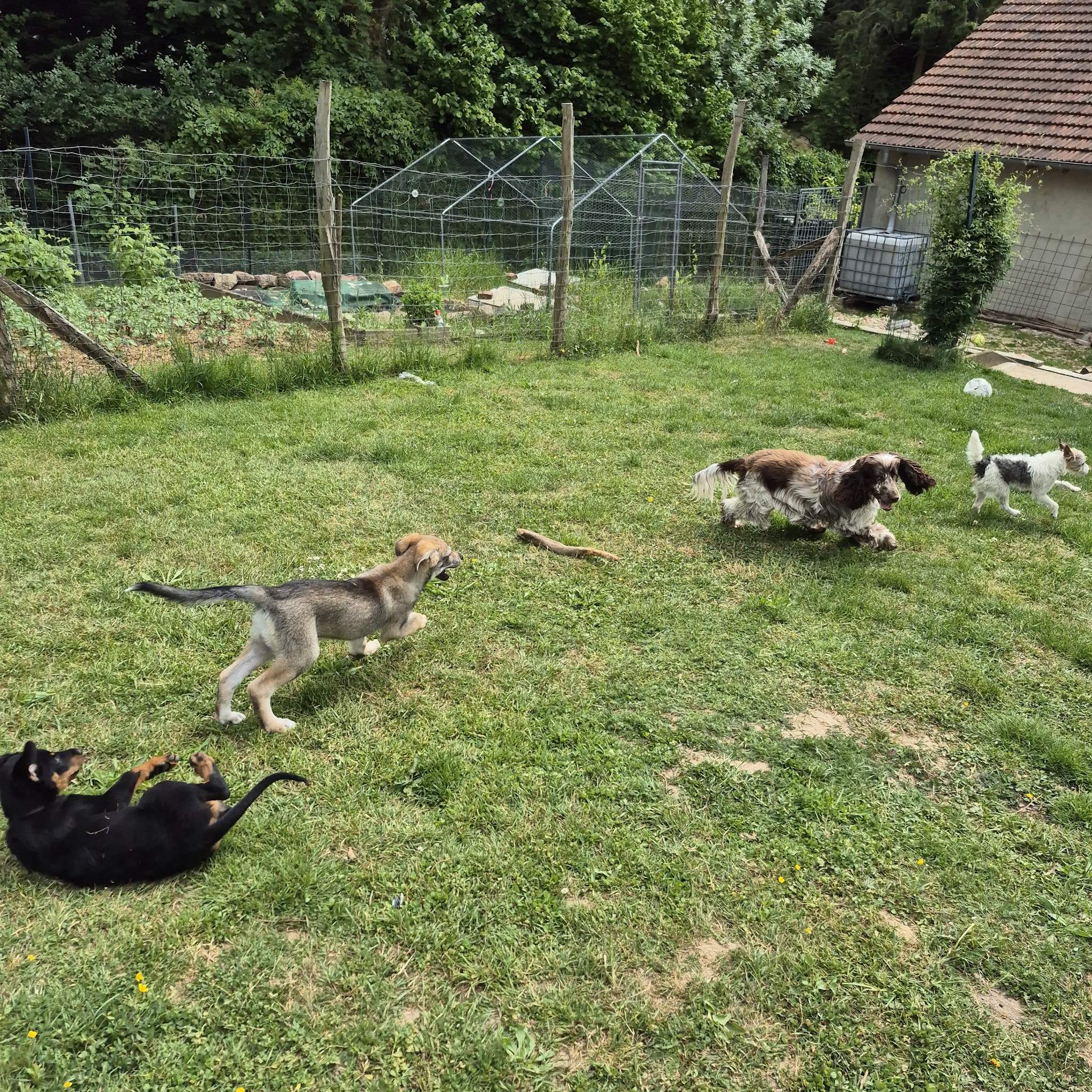 Halia et compagnie — photo