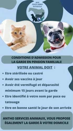 Antho Services Animaux