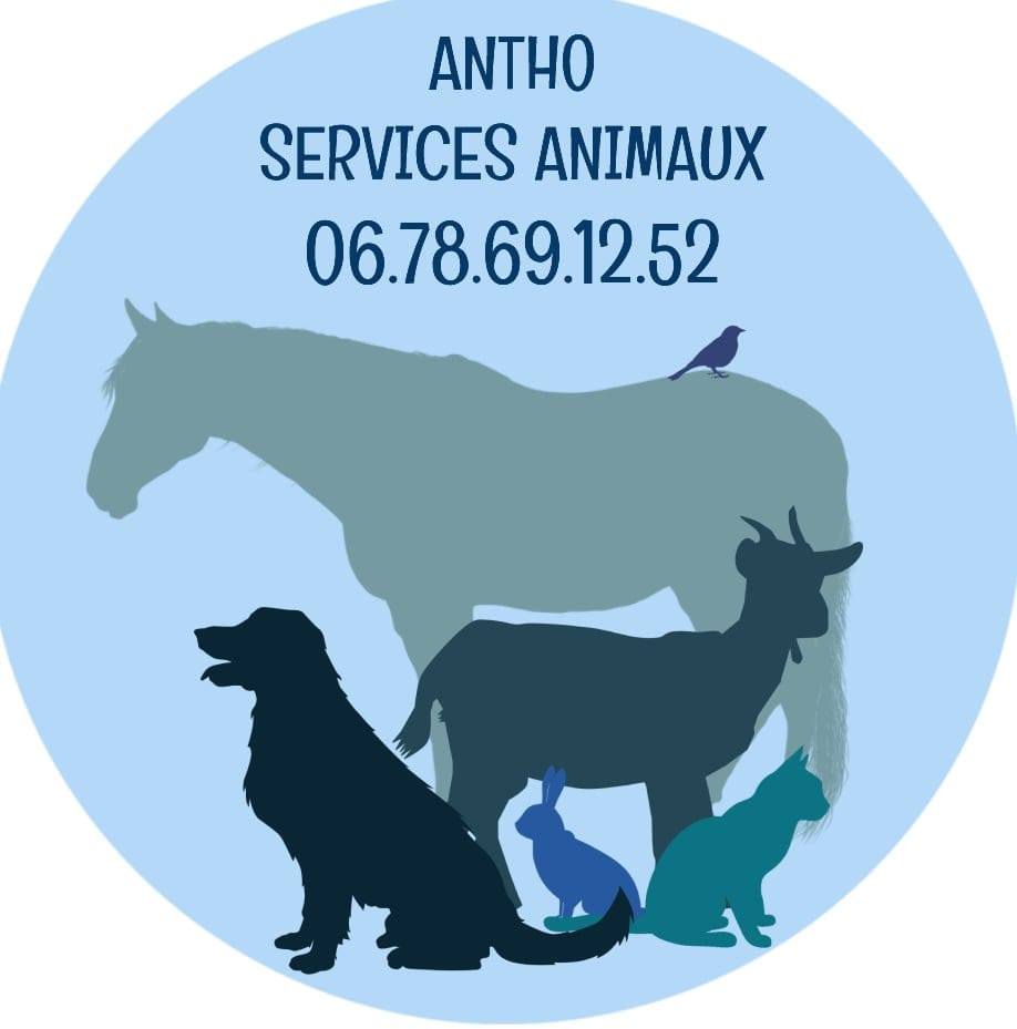 Antho Services Animaux — photo