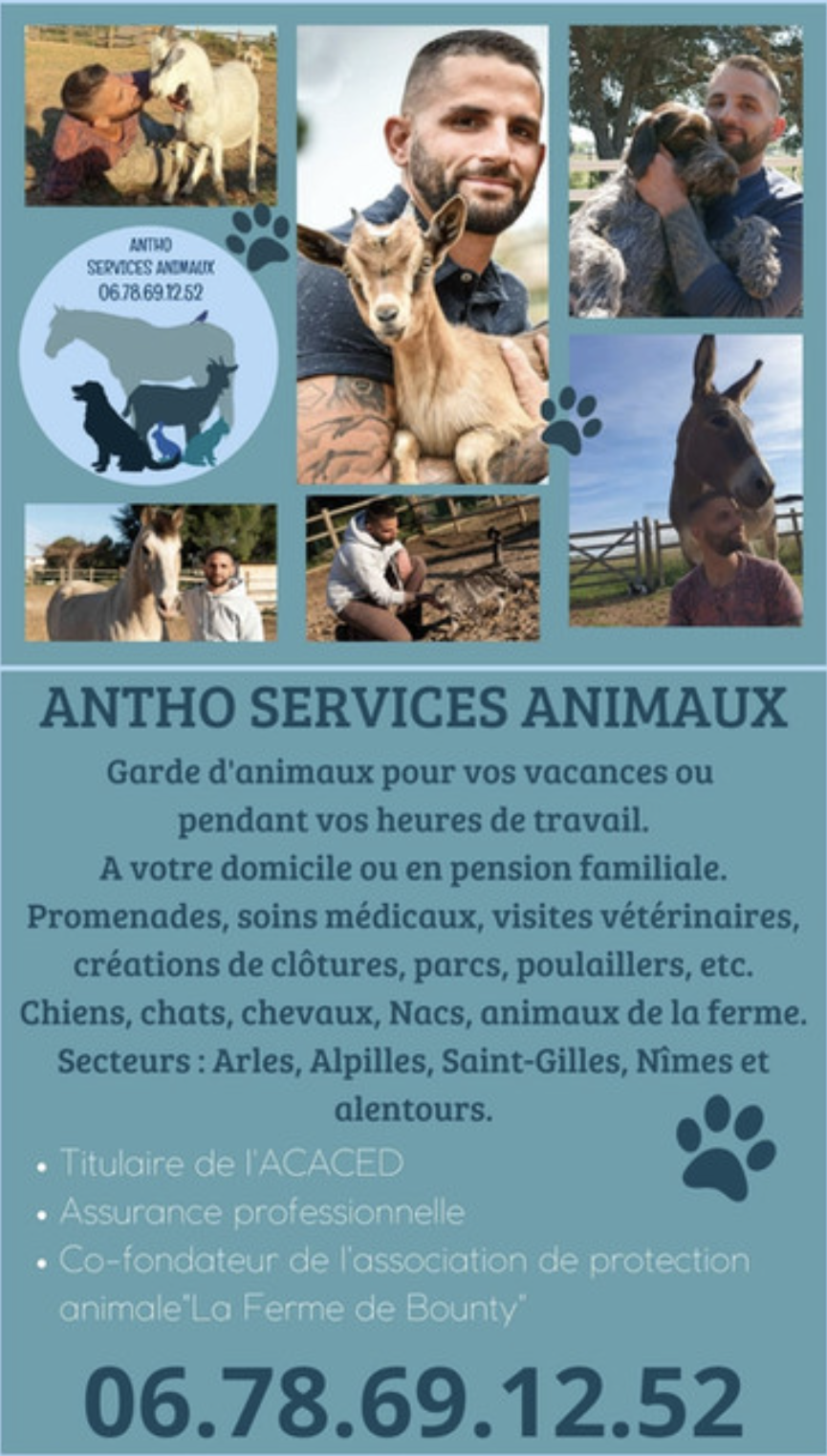 Antho Services Animaux — photo