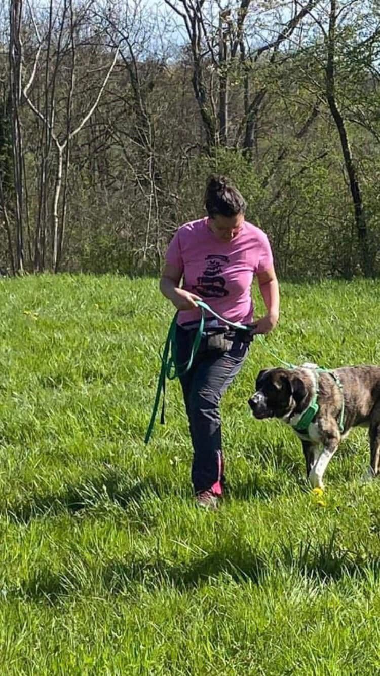 Ensemble vers le bonheur - Éducateur comportementaliste canin — photo