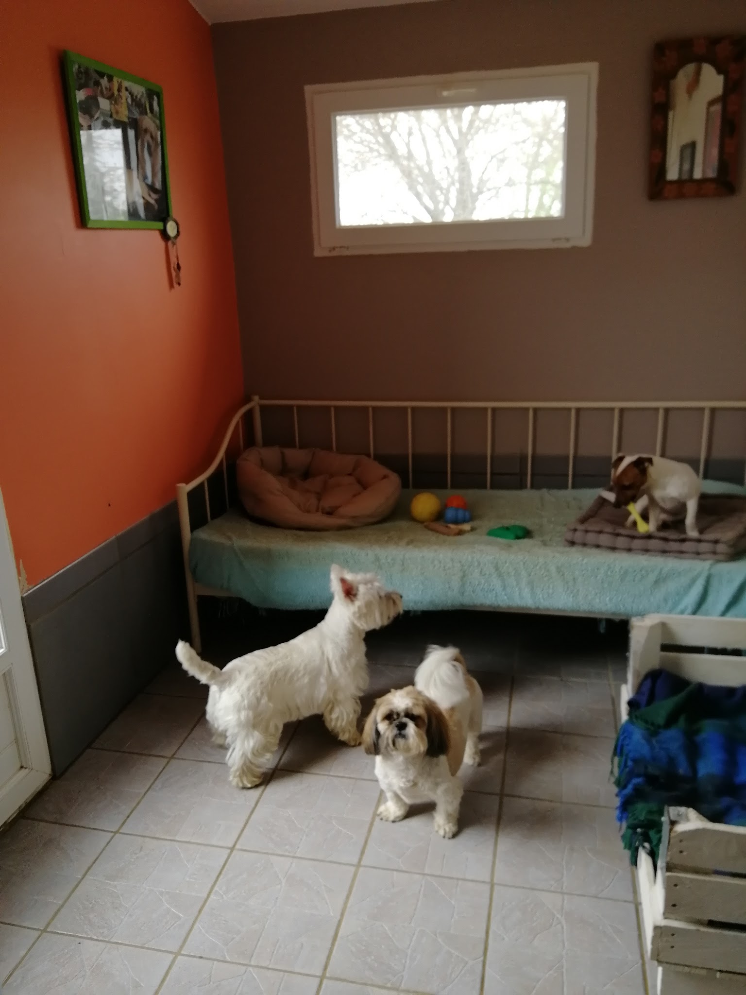 aniway — photo
