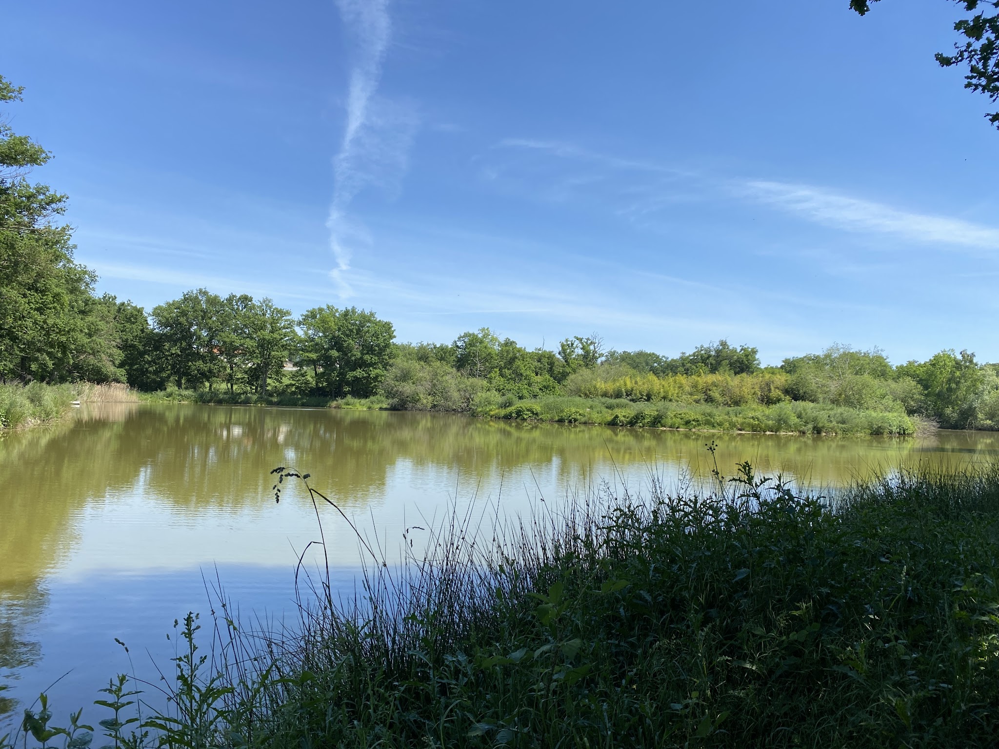 Le Domaine Du Bost — photo