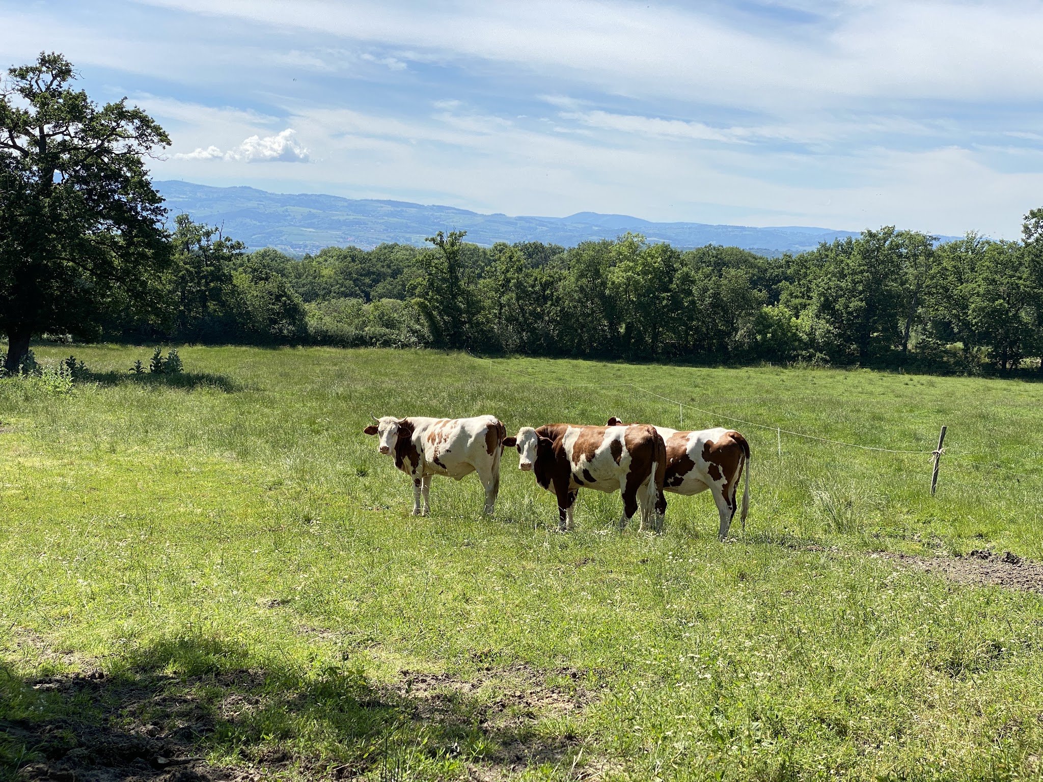 Le Domaine Du Bost — photo