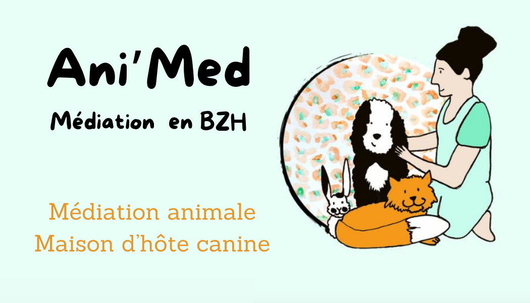 Ani’Med Bzh - médiation animale — photo