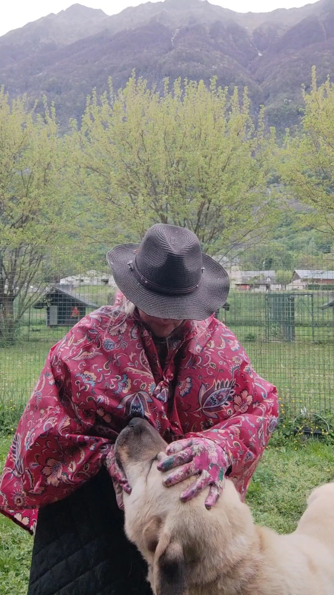 Au Paradis Des Chiens Et Chats — photo