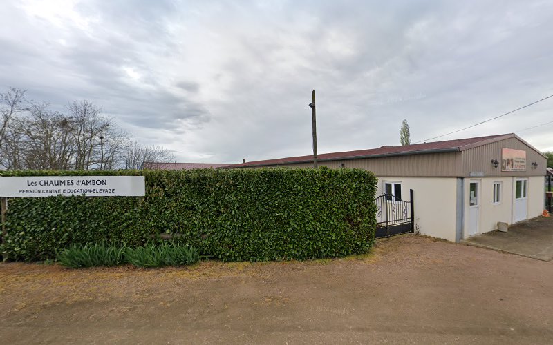 Centre d'Activités Canines P.Colas