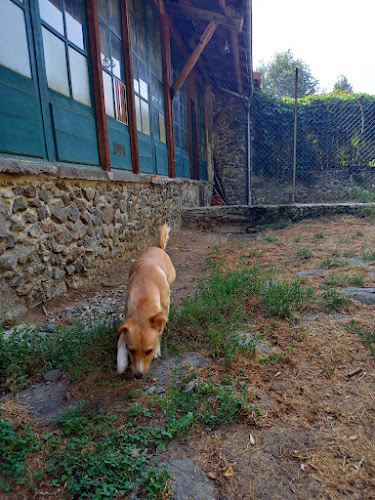 Pension canine et féline du Pré de la Côte