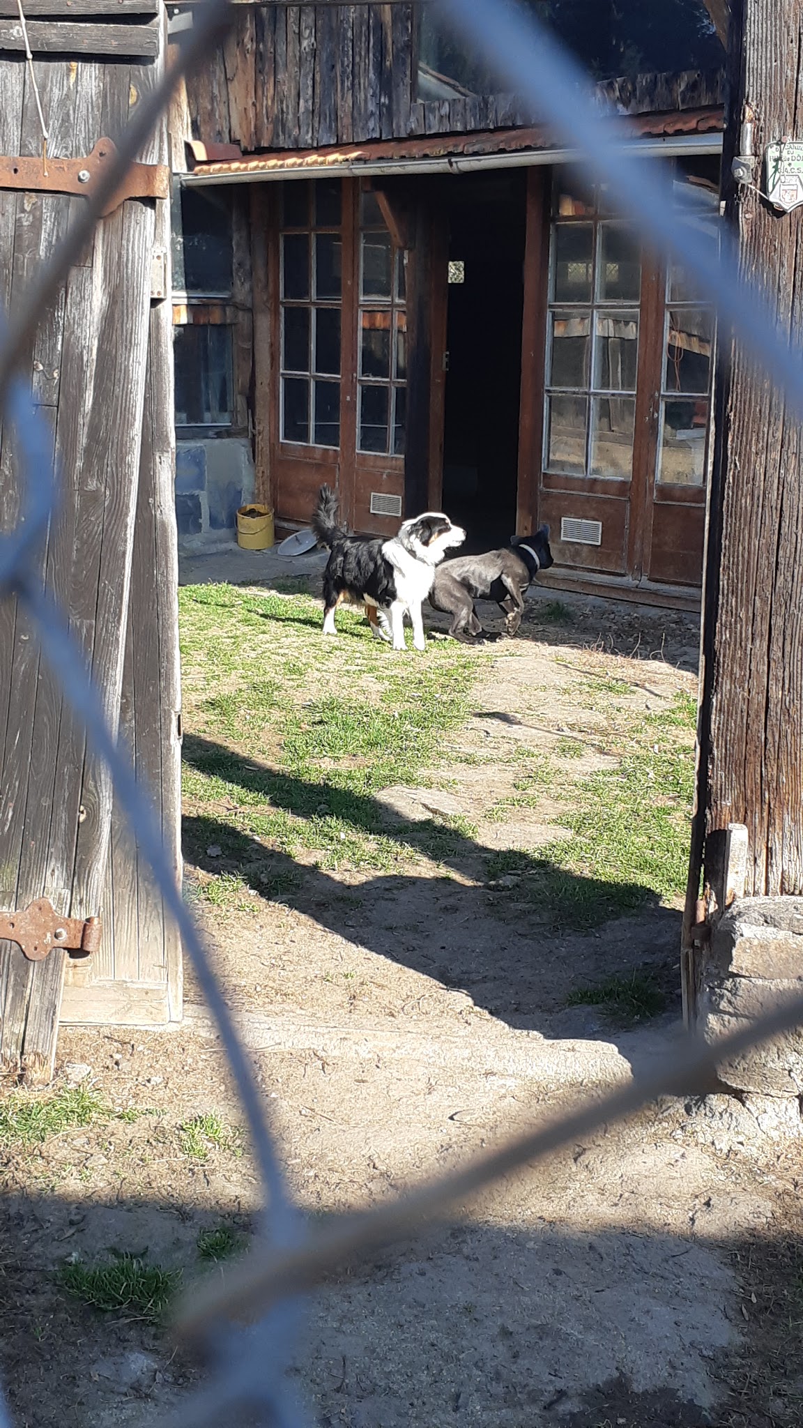 Pension canine et féline du Pré de la Côte — photo