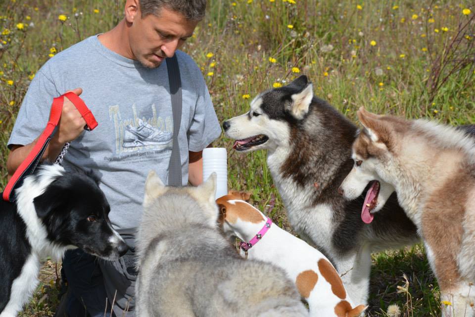Plaisir canin Education canine — photo