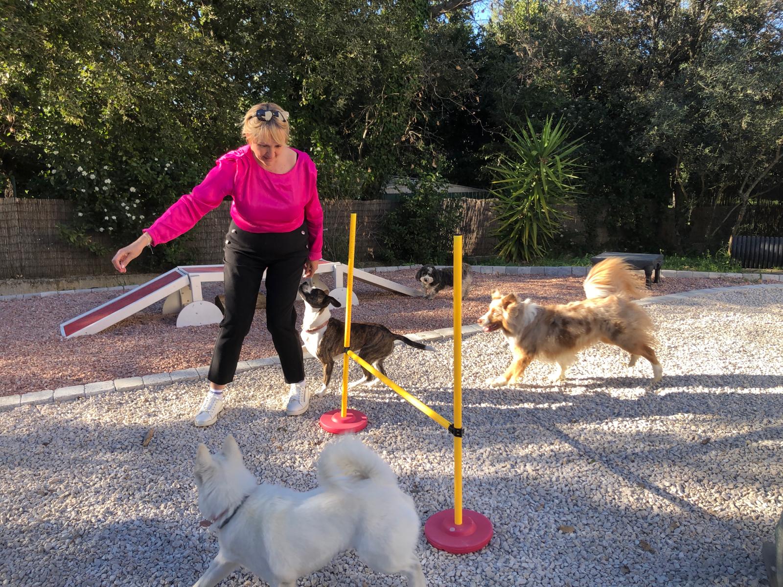 virginie family pets — photo