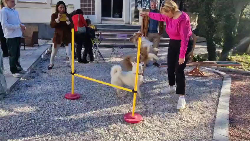 virginie family pets — photo