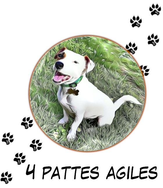 4 Pattes Agiles — photo