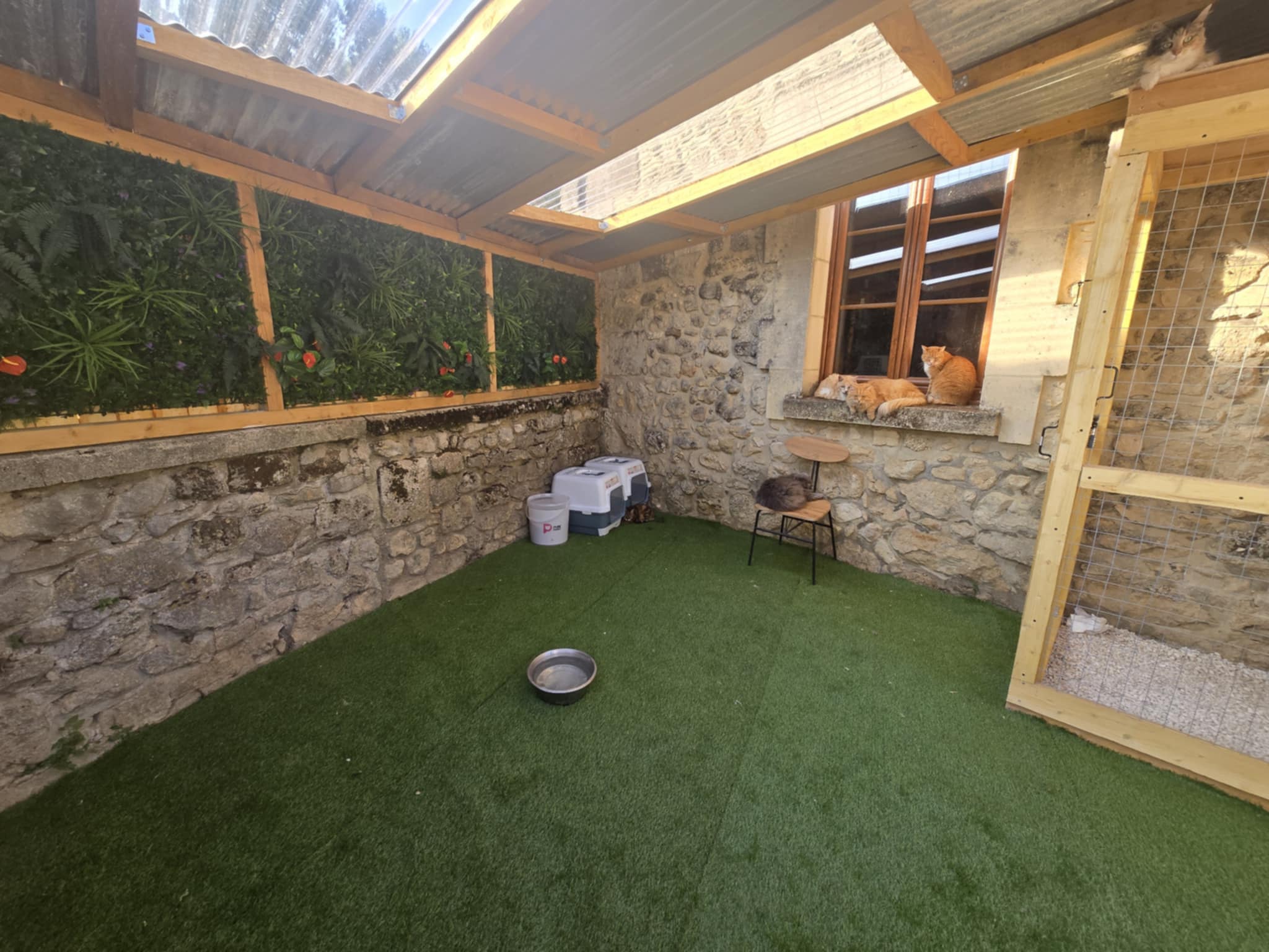 SAS La Ferme Aux animaux — photo
