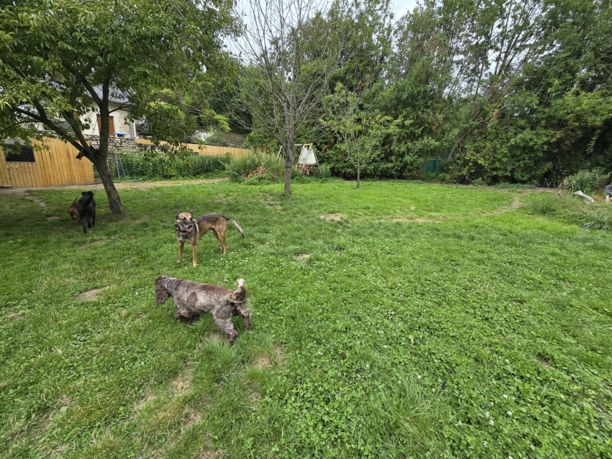 SAS La Ferme Aux animaux — photo