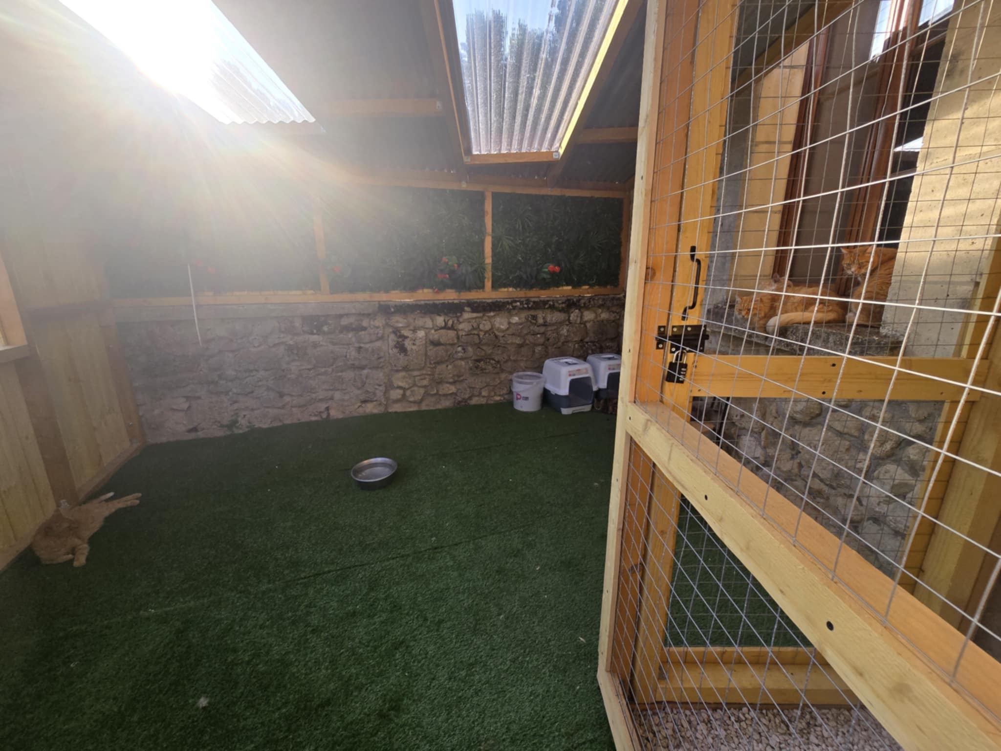 SAS La Ferme Aux animaux — photo