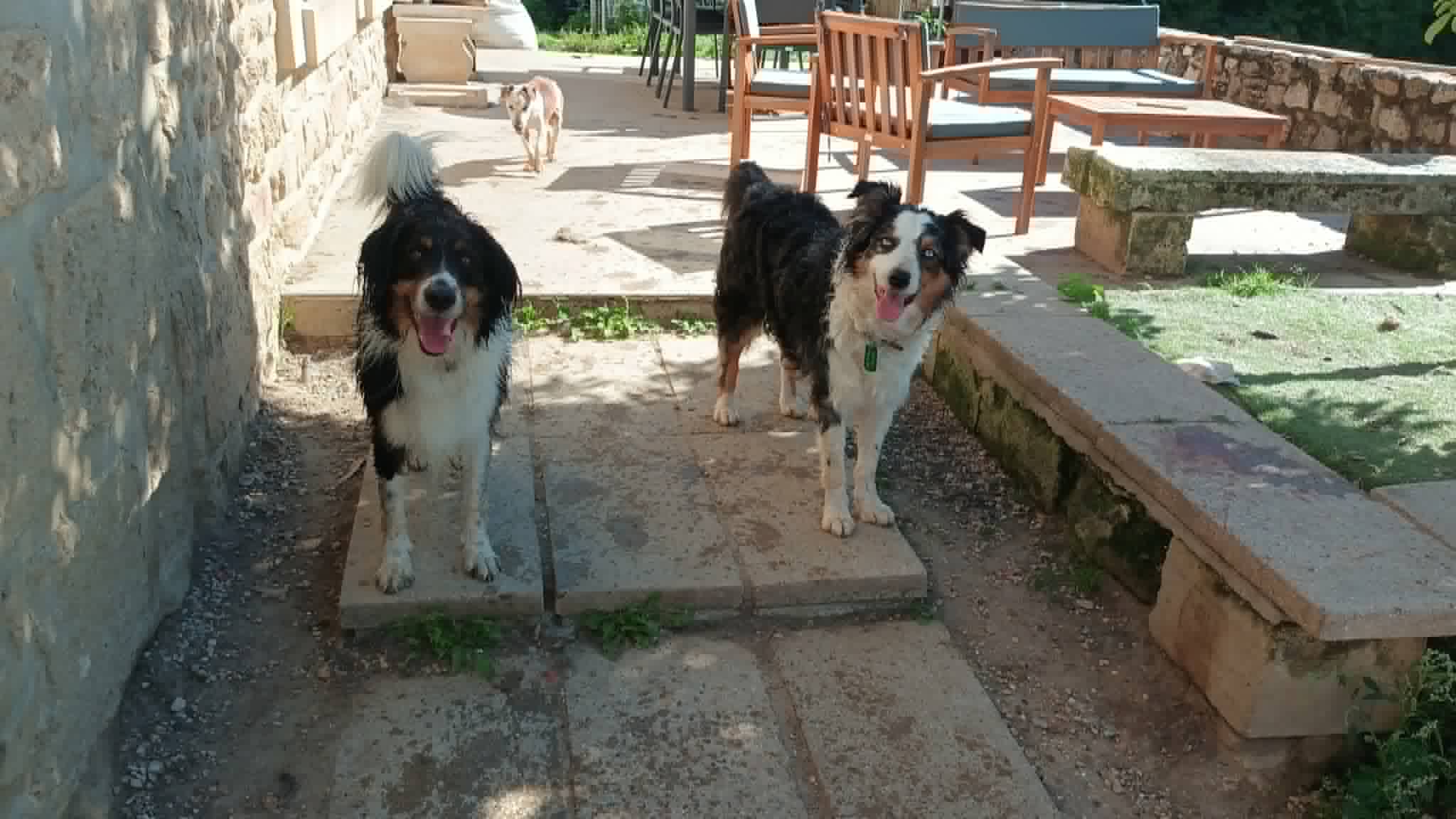 SAS La Ferme Aux animaux