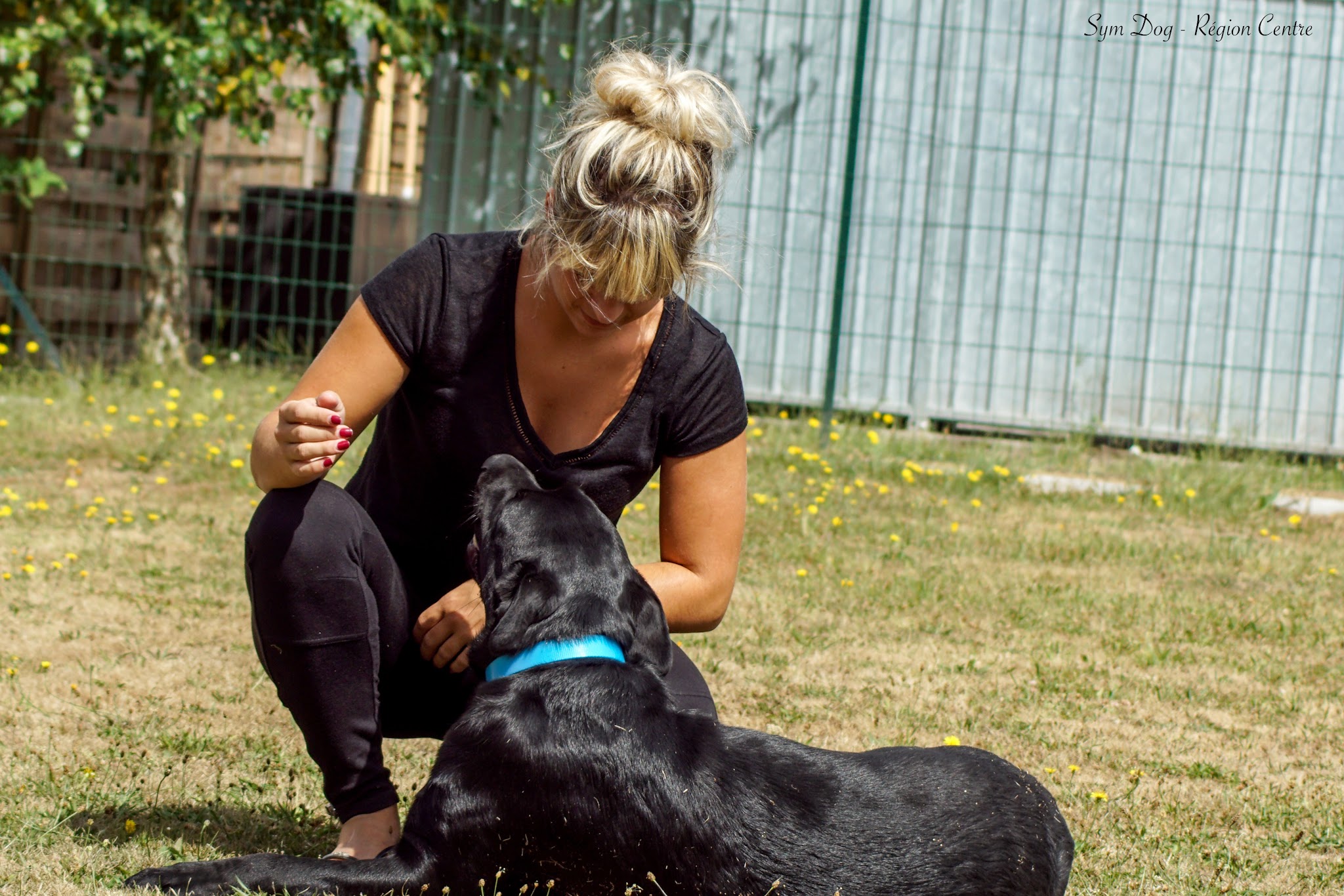 BLUE DOG — photo