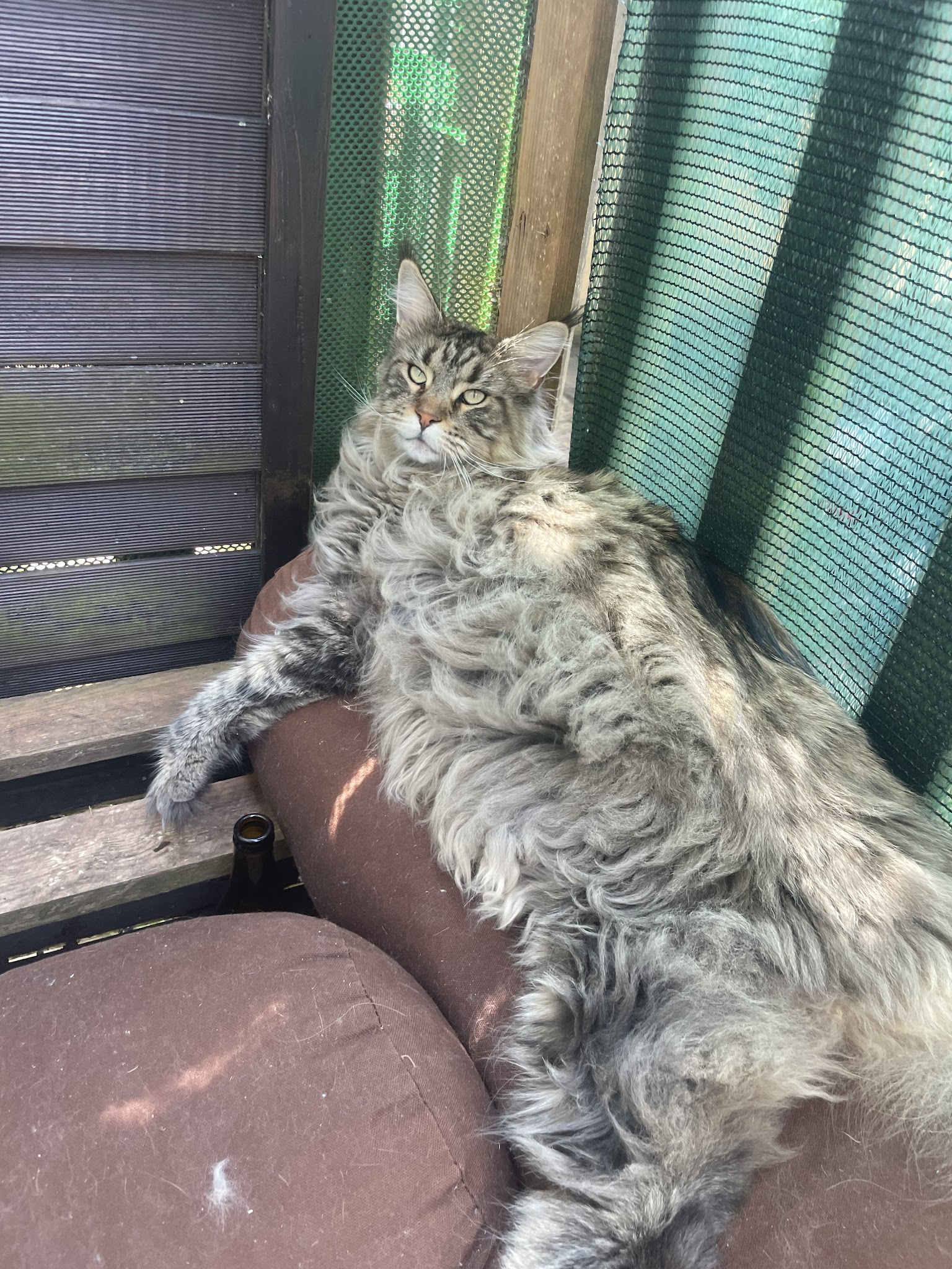 Truffe Zen — photo